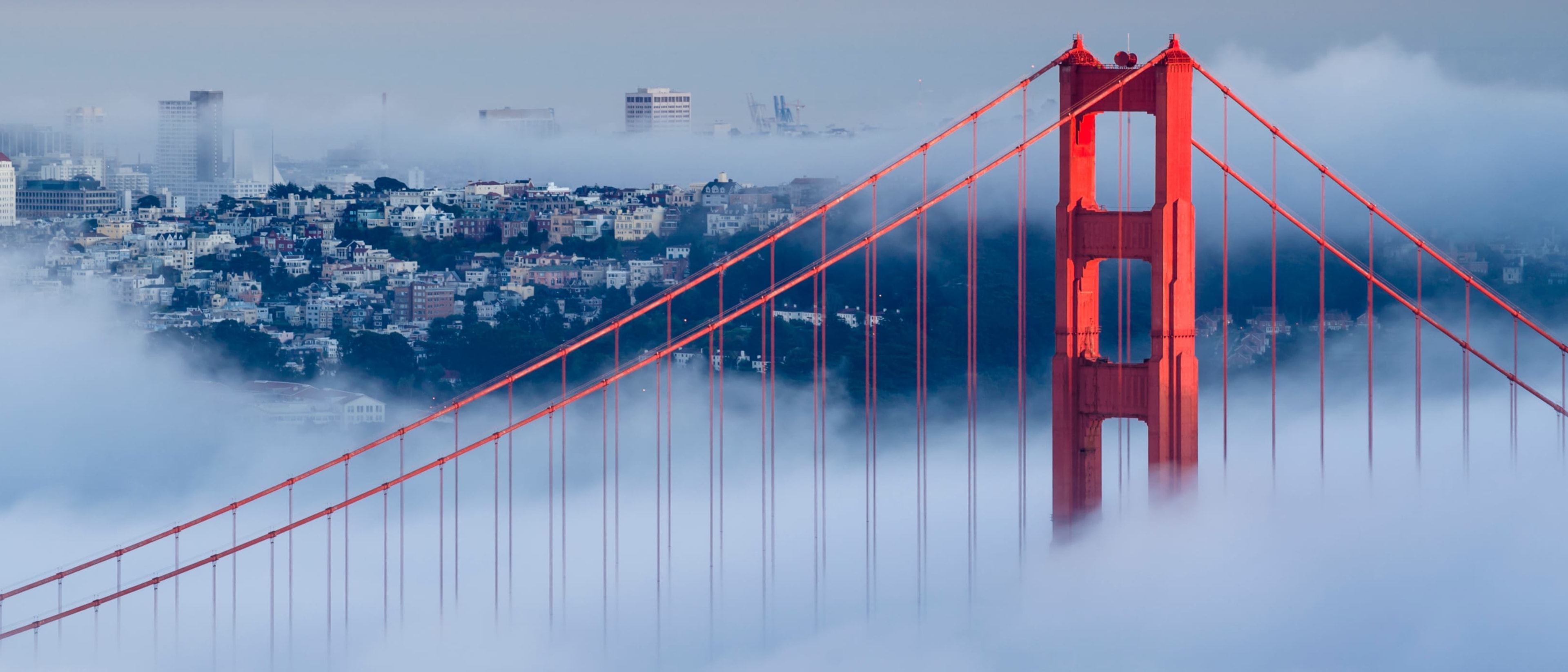 Presidio Graduate School