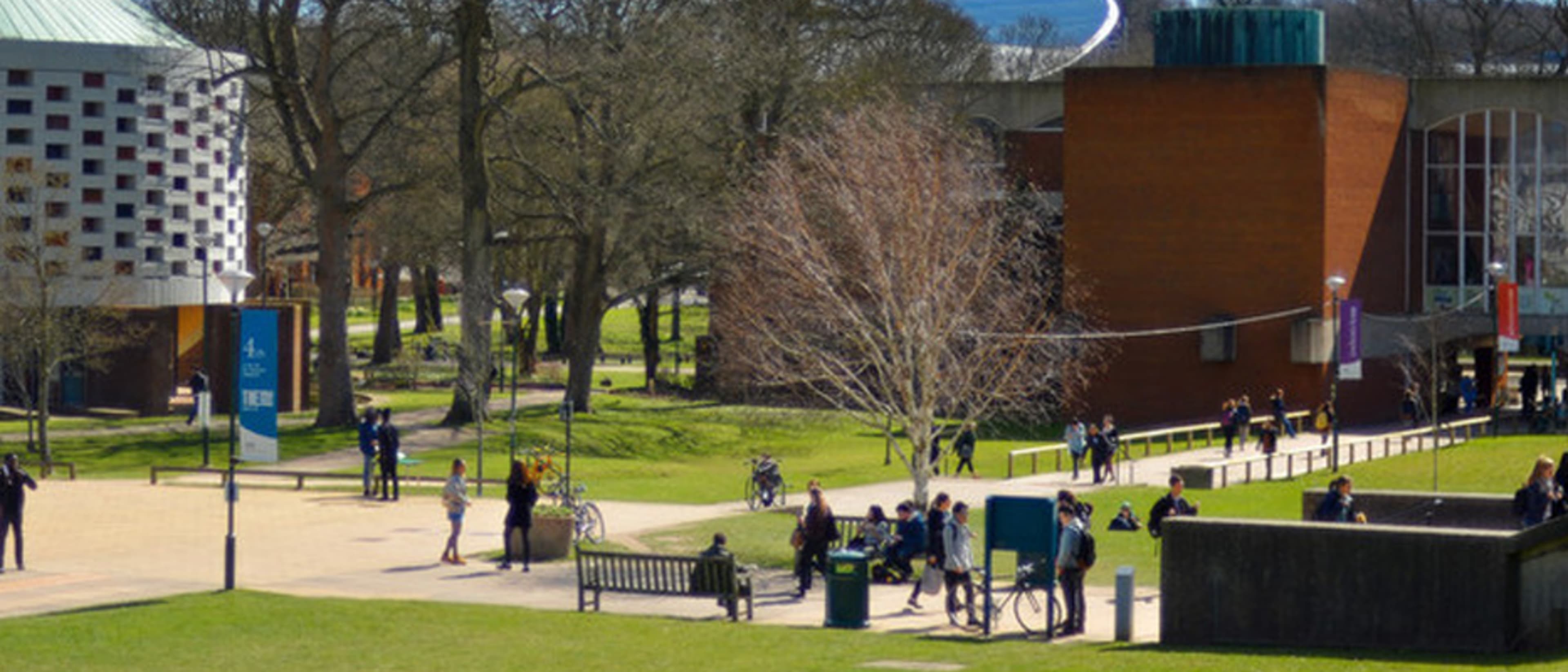 Institute of Development Studies