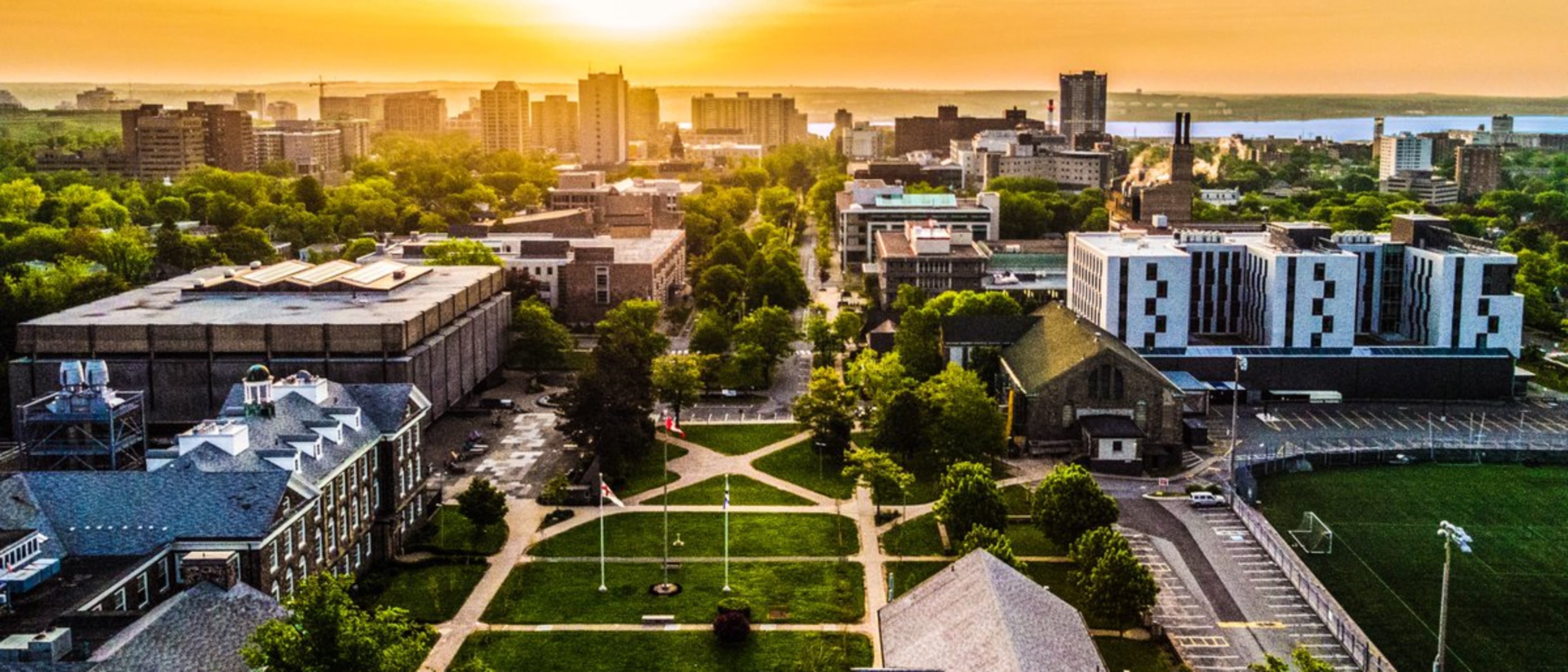 Dalhousie University