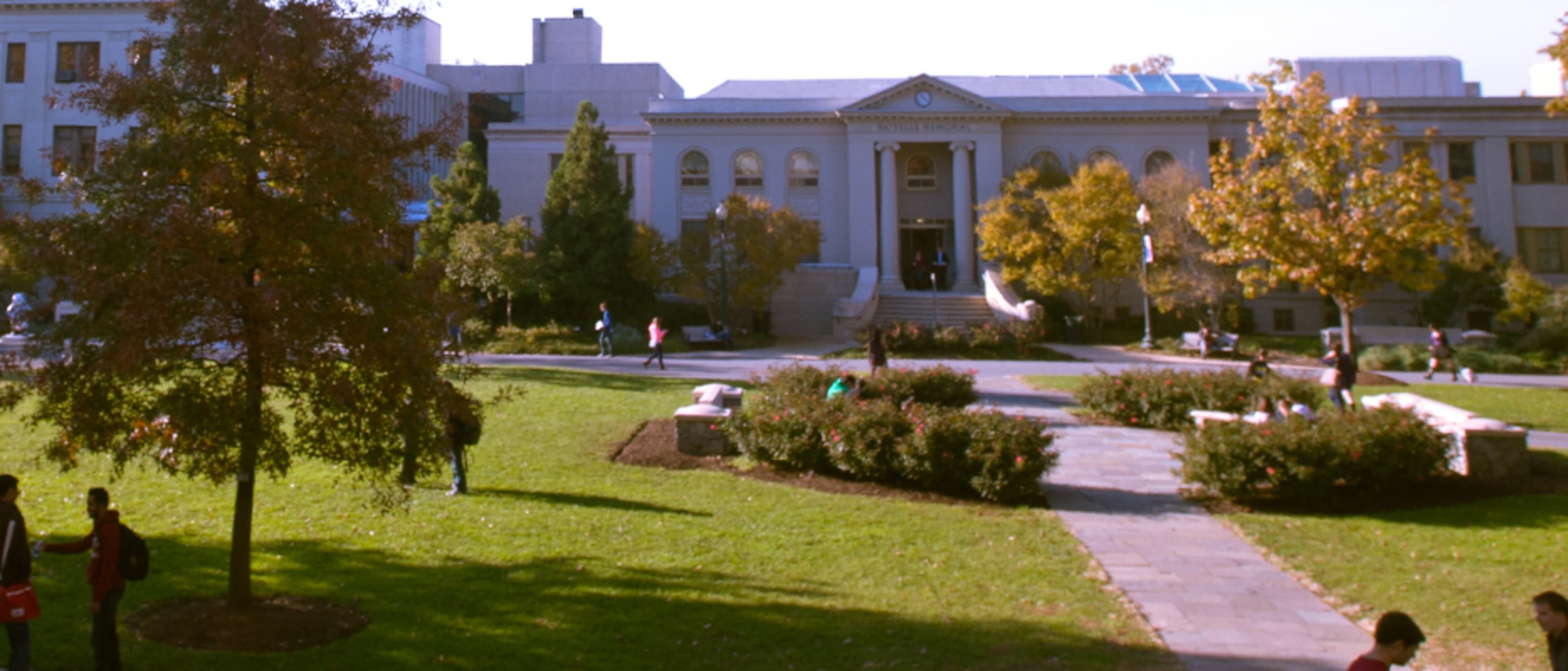 American University Online