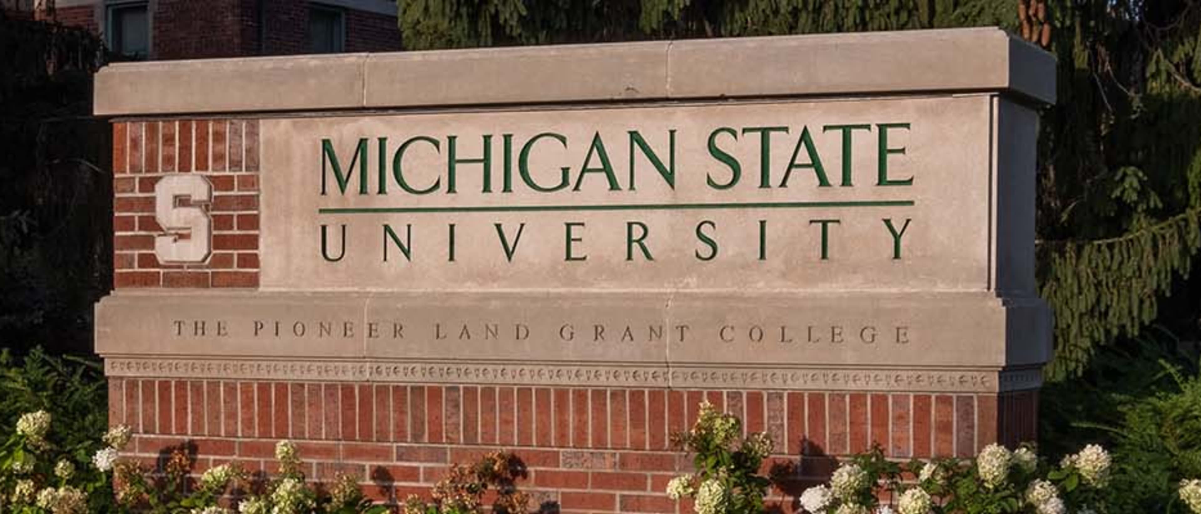 Michigan State University Online