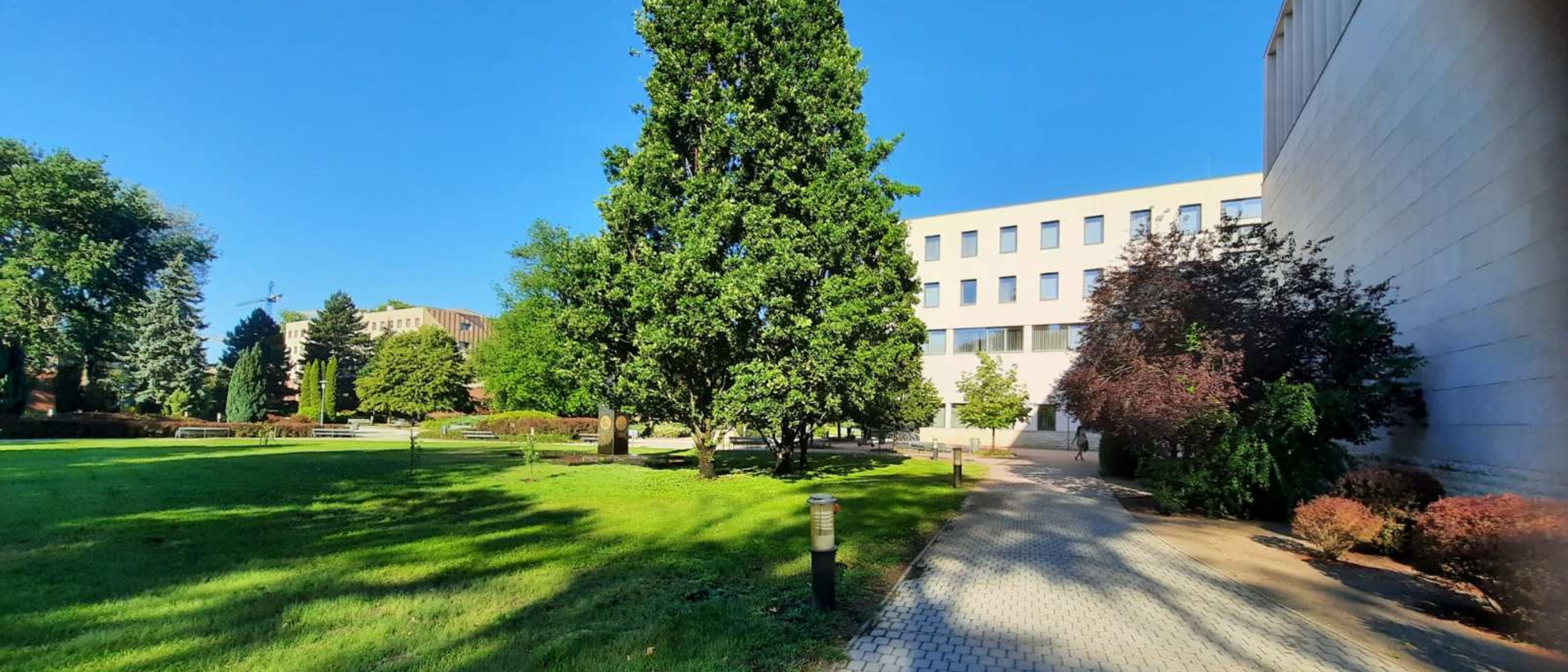 University of Nyiregyhaza