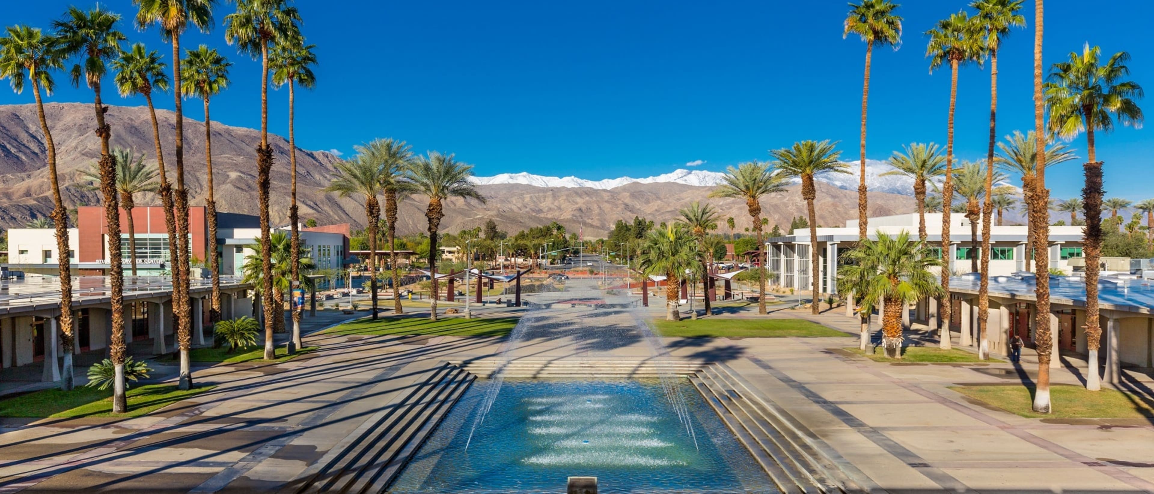 College of the Desert