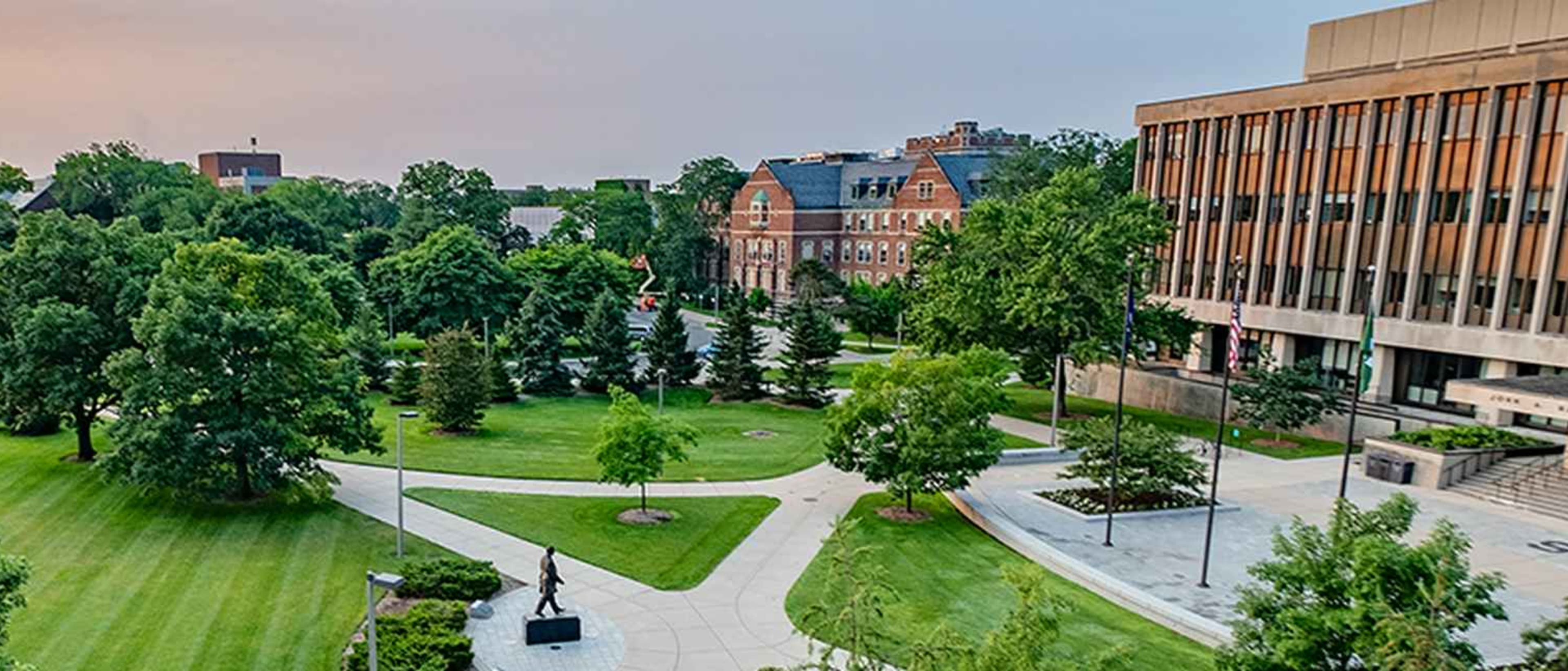 Michigan State University