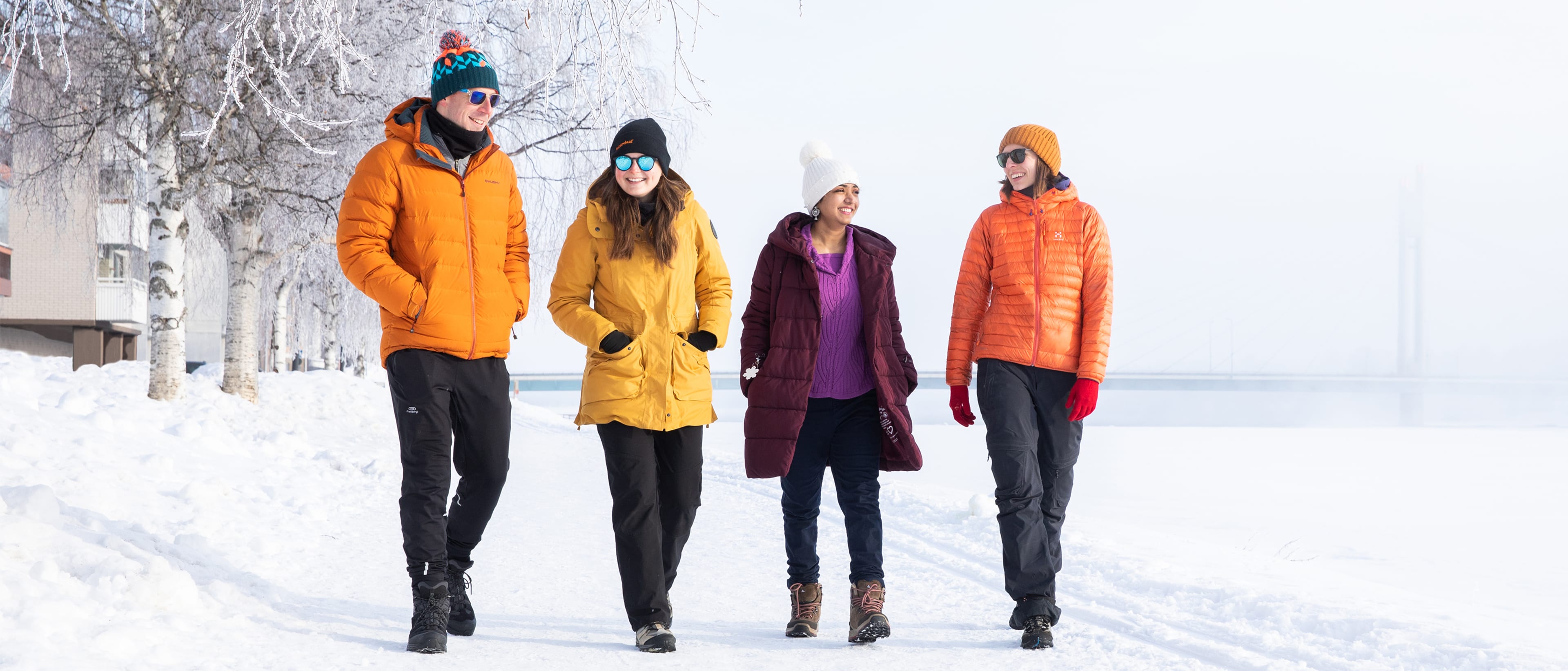University of Lapland