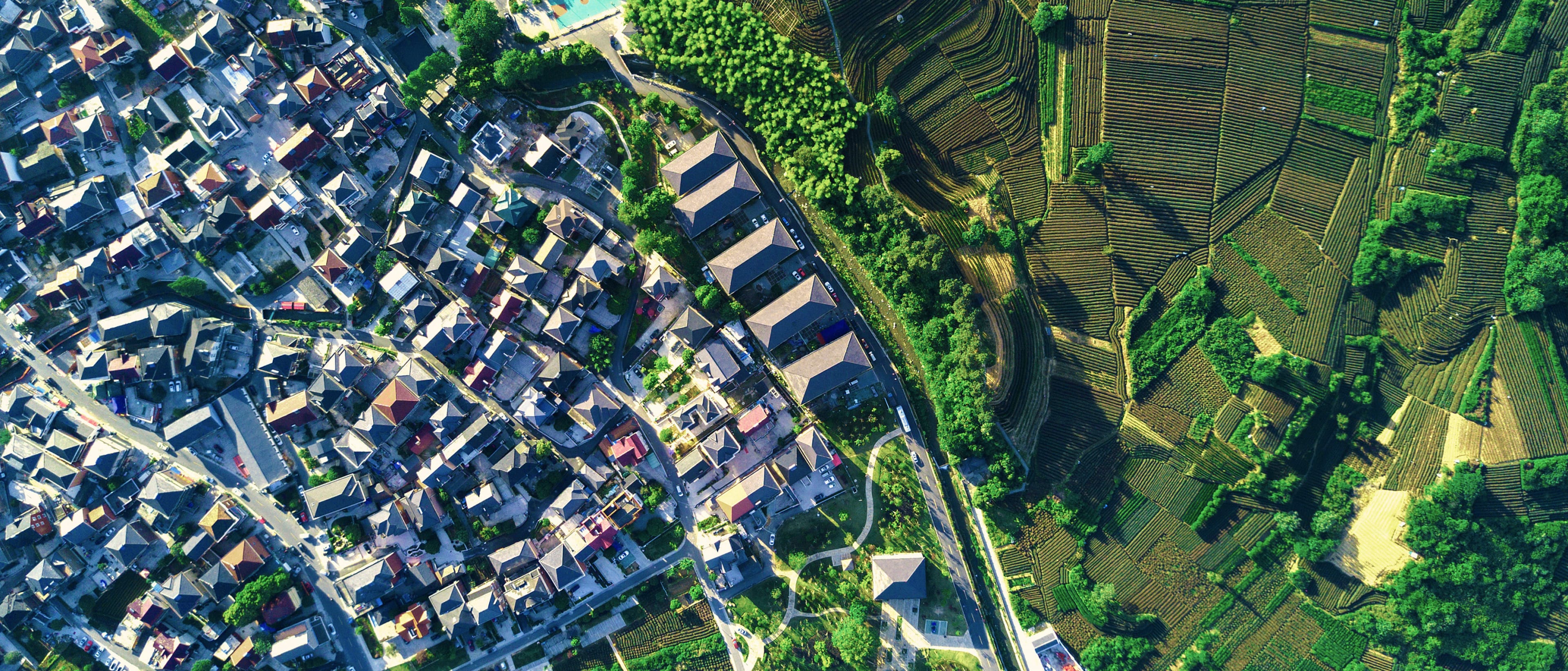 IHS, Institute For Housing and Urban Development Studies of Erasmus University Rotterdam