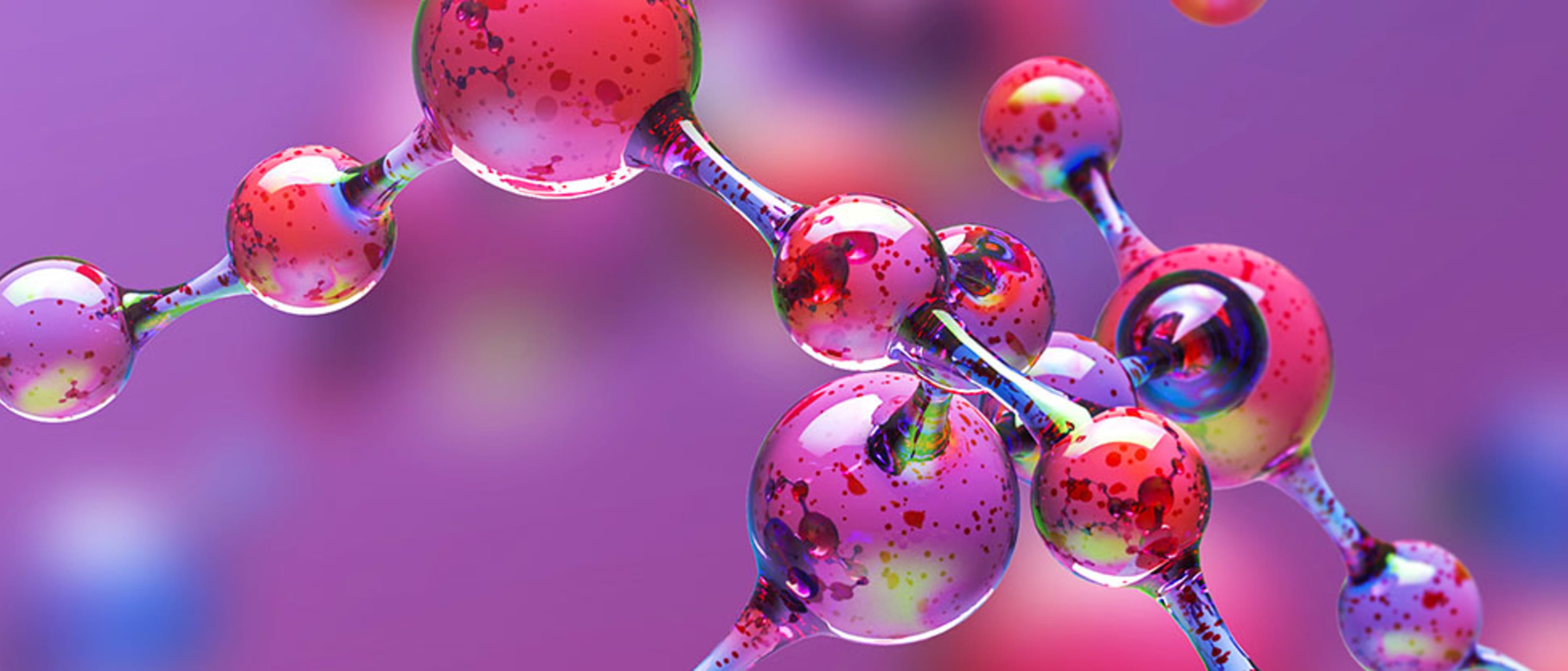 University of Padova