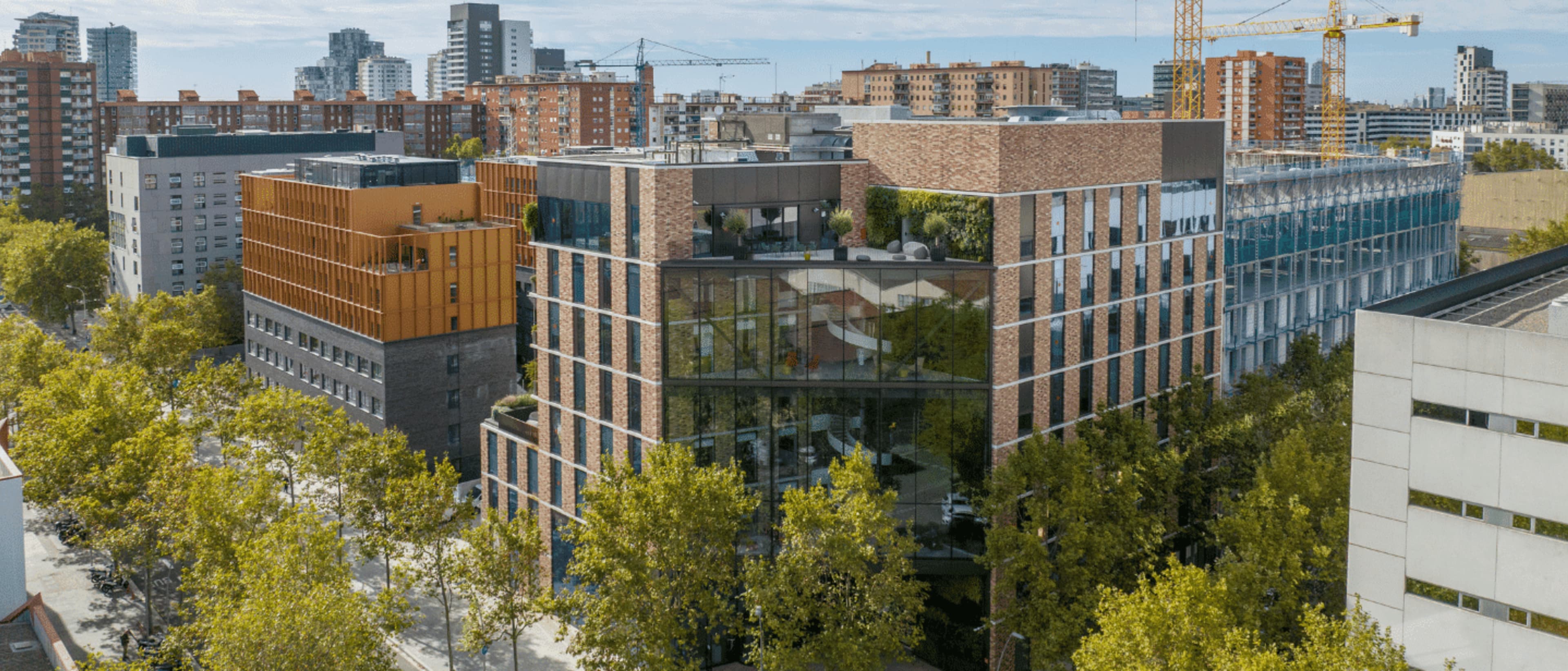 TBS Education in Barcelona