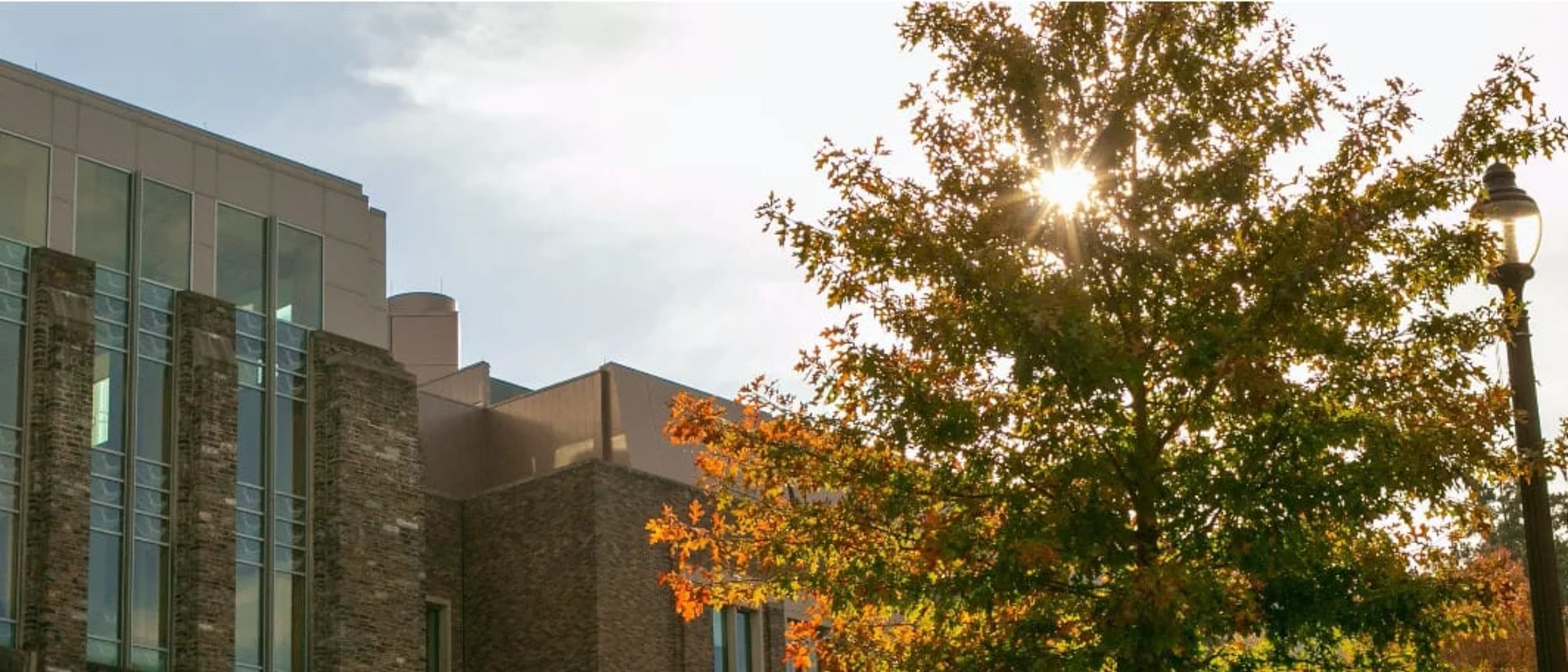 Duke University - Pratt School of Engineering