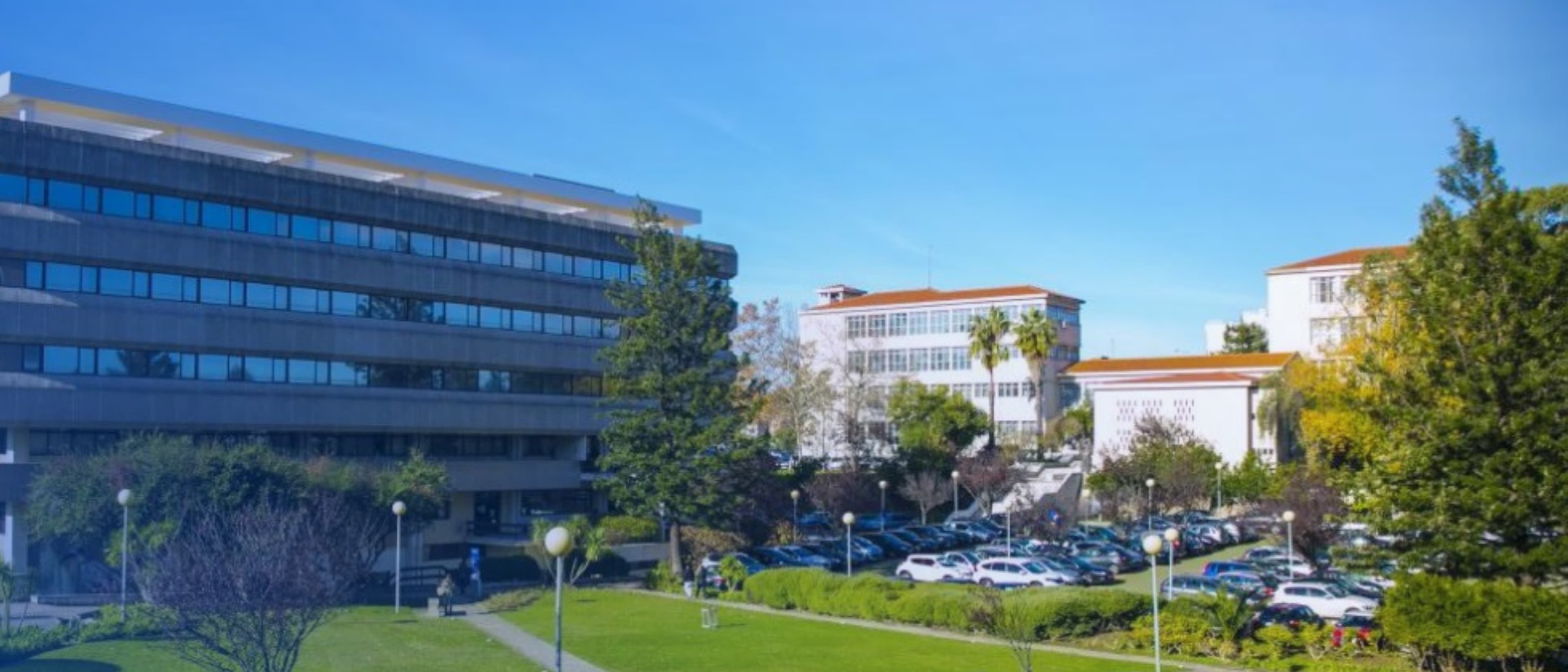 Católica Global School of Law