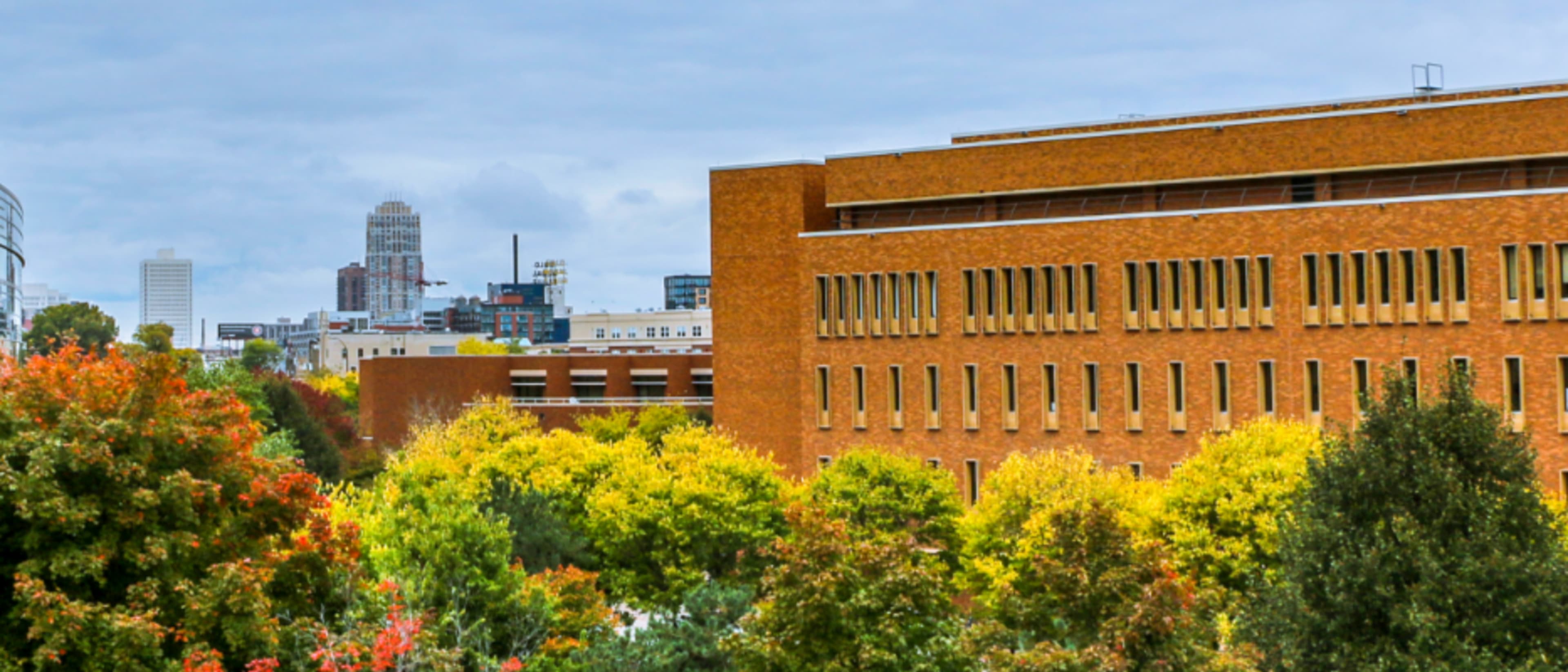 University of Minnesota – Carlson School of Management