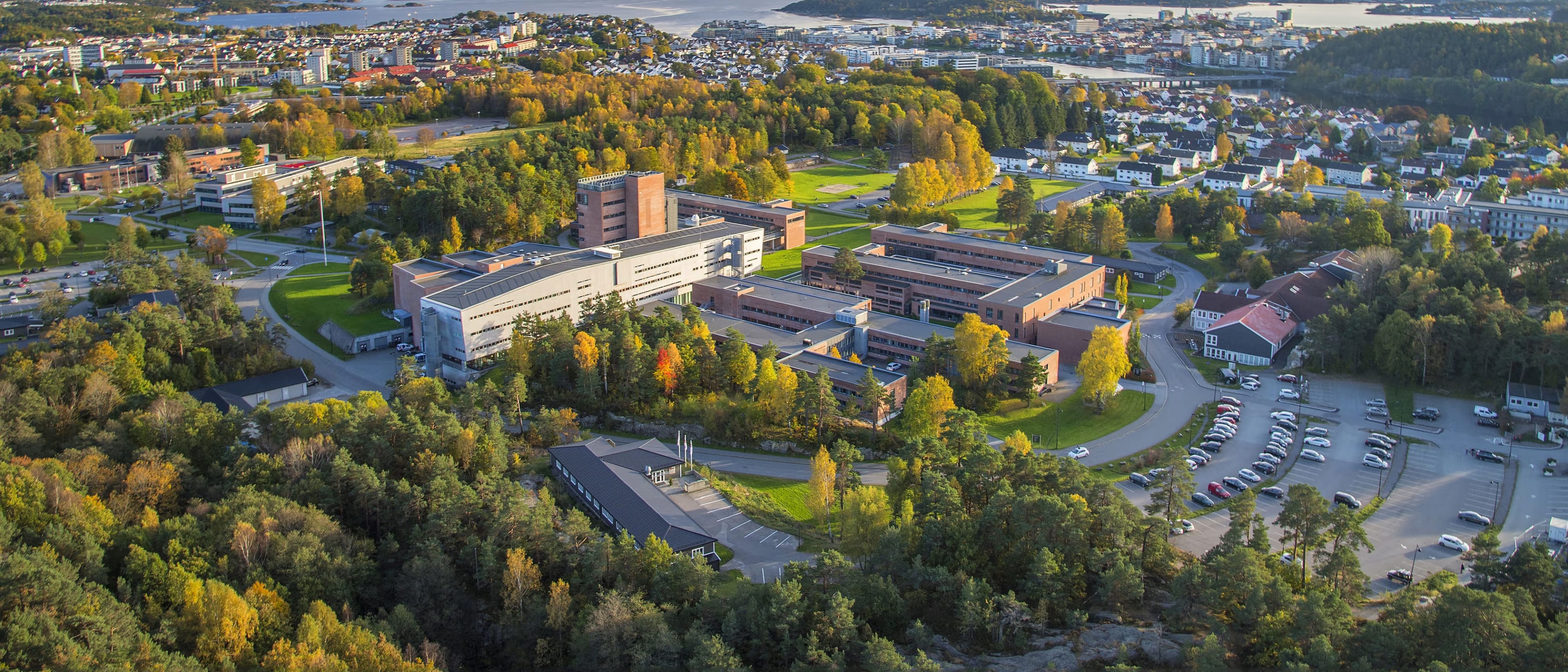 University of Agder