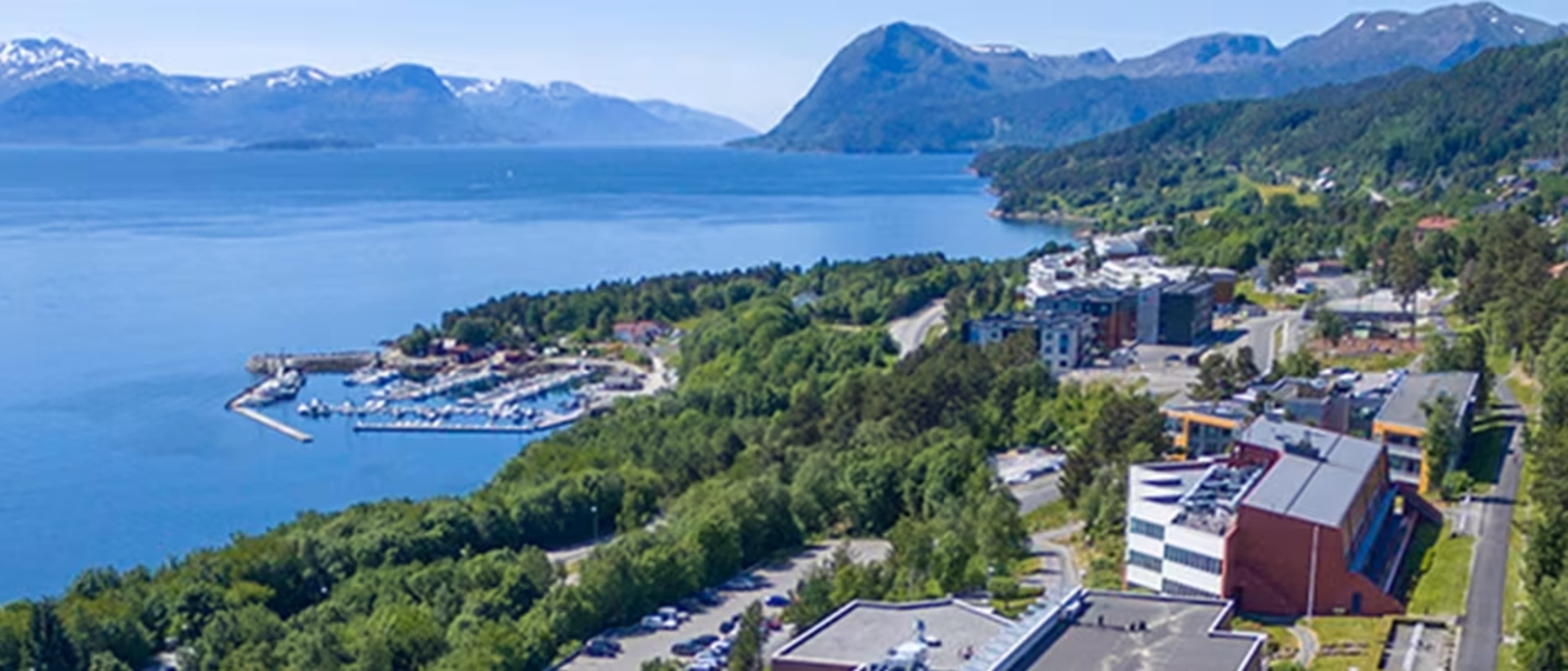 Molde University College - Specialized University in Logistics