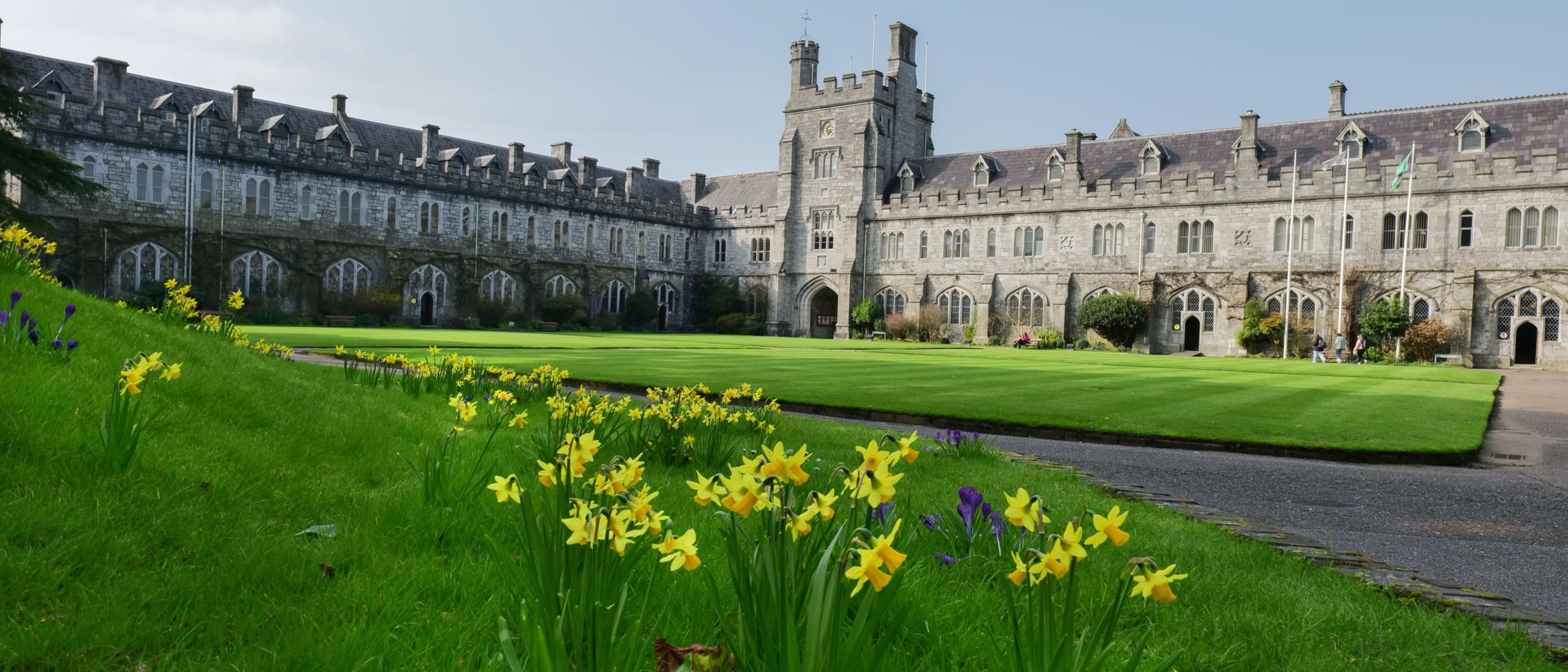 Cork University Business School