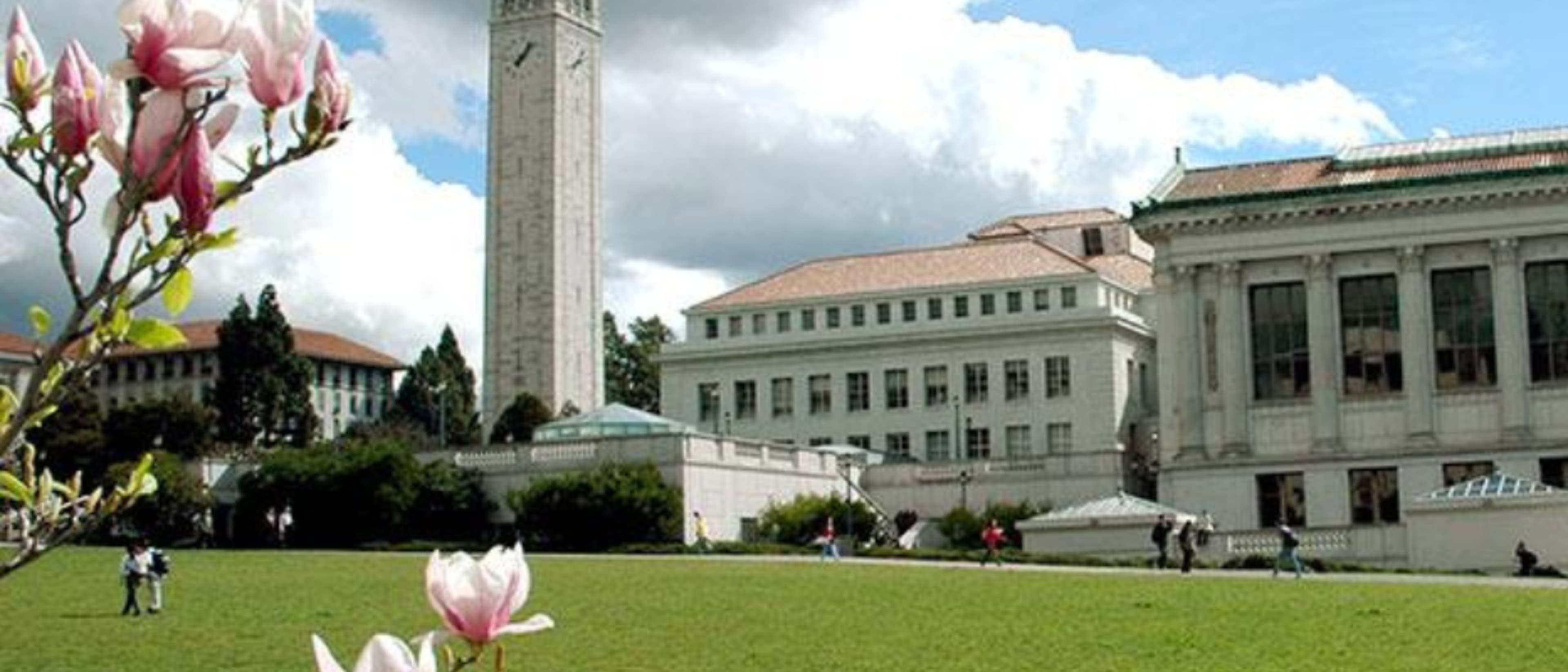 University of California Berkeley - International Study Program