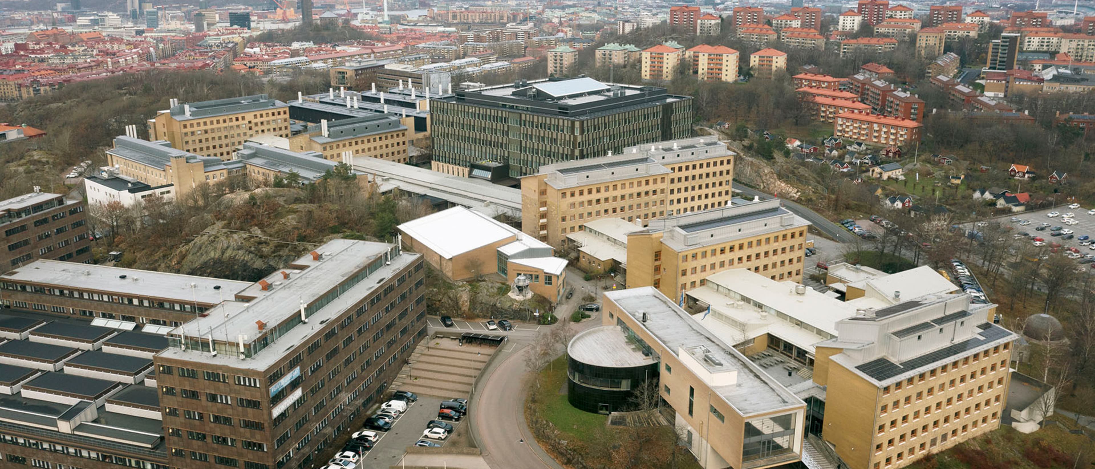 University of Gothenburg, Sahlgrenska Academy (Faculty of Medicine)