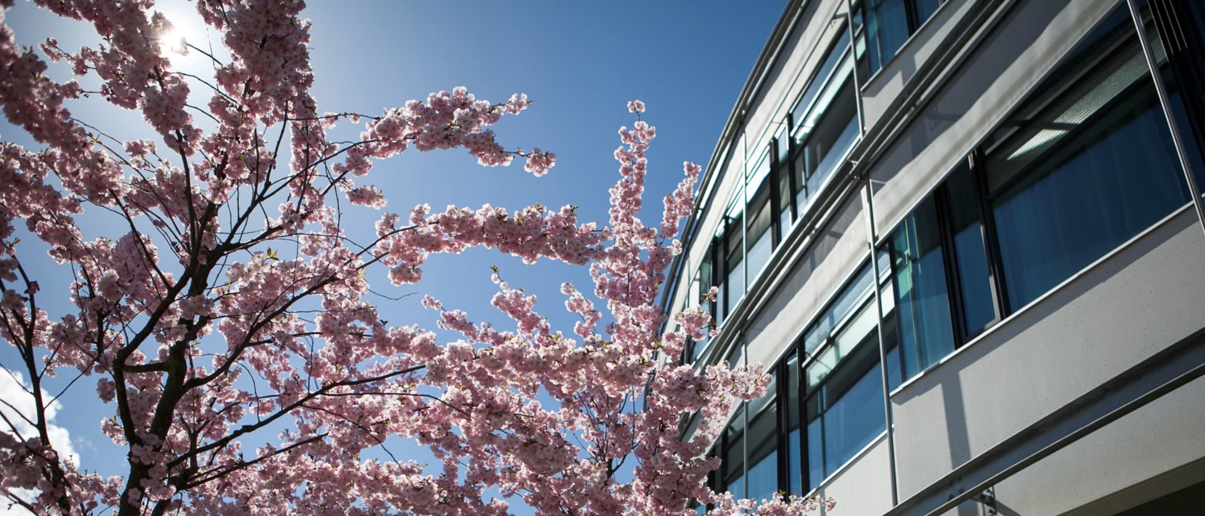 Swedish University of Agricultural Sciences