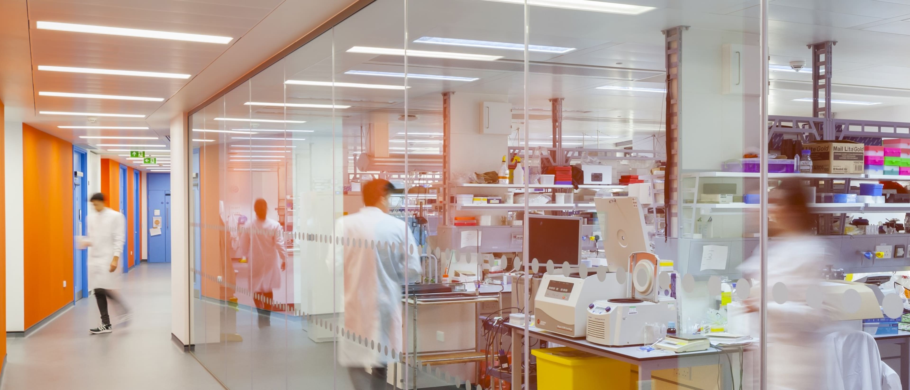 University of Bristol - Health and Life Sciences