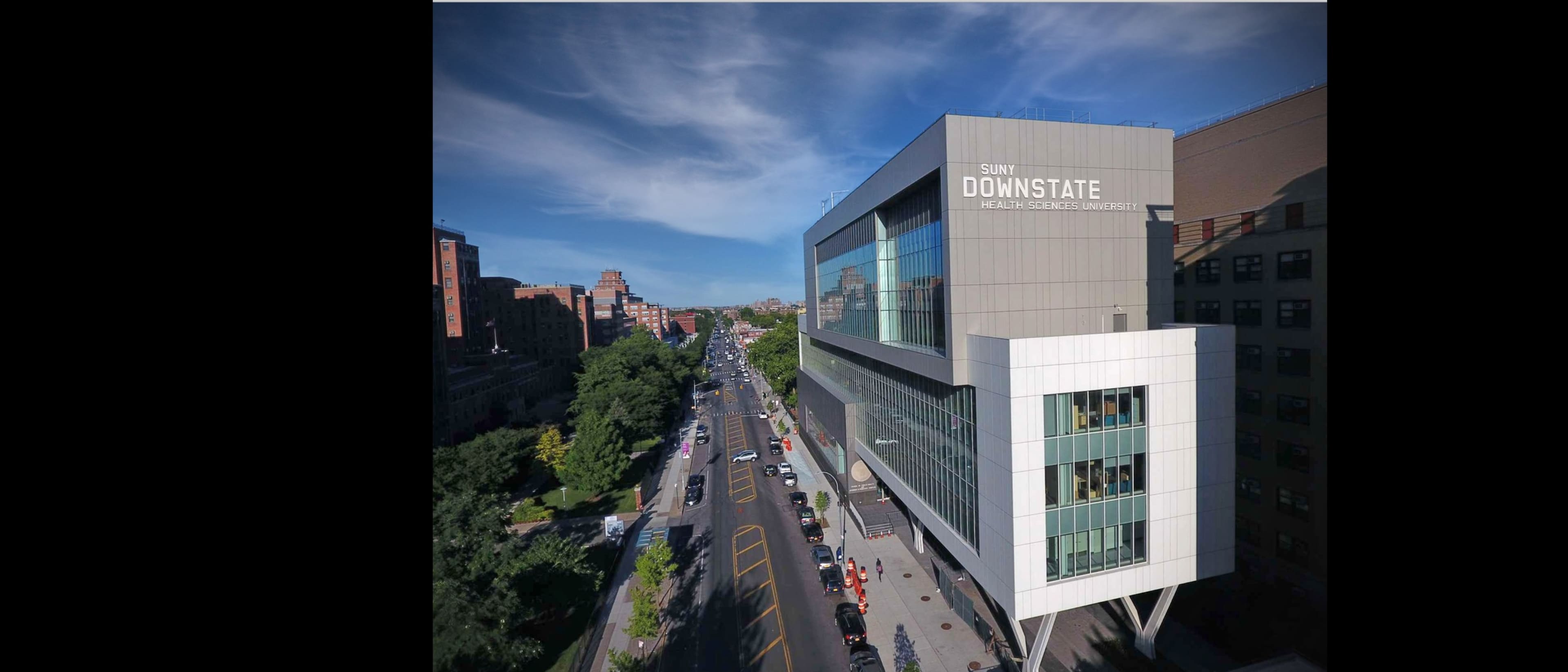 SUNY Downstate Health Sciences University School of Public Health