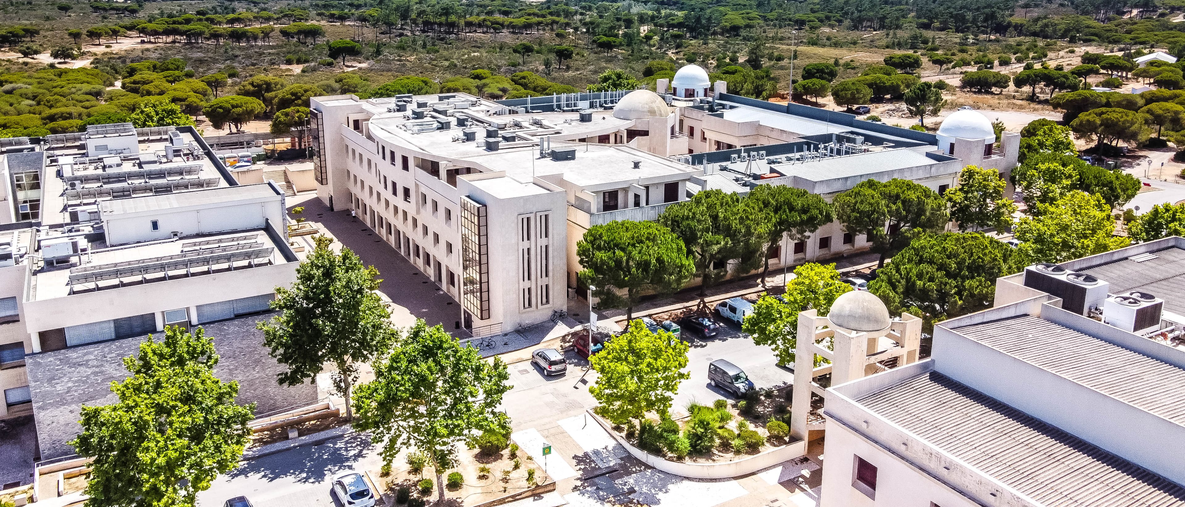 University of Algarve