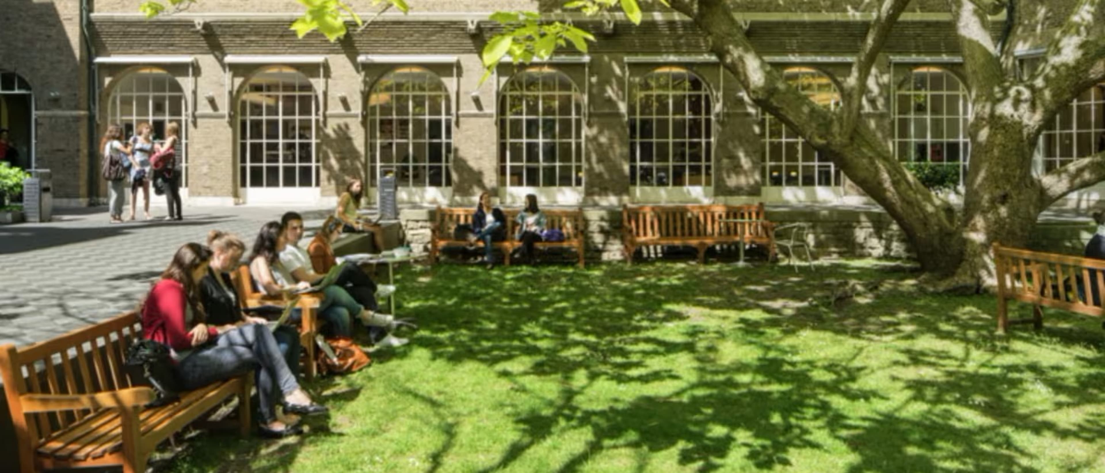 Maastricht University, Faculty of Law