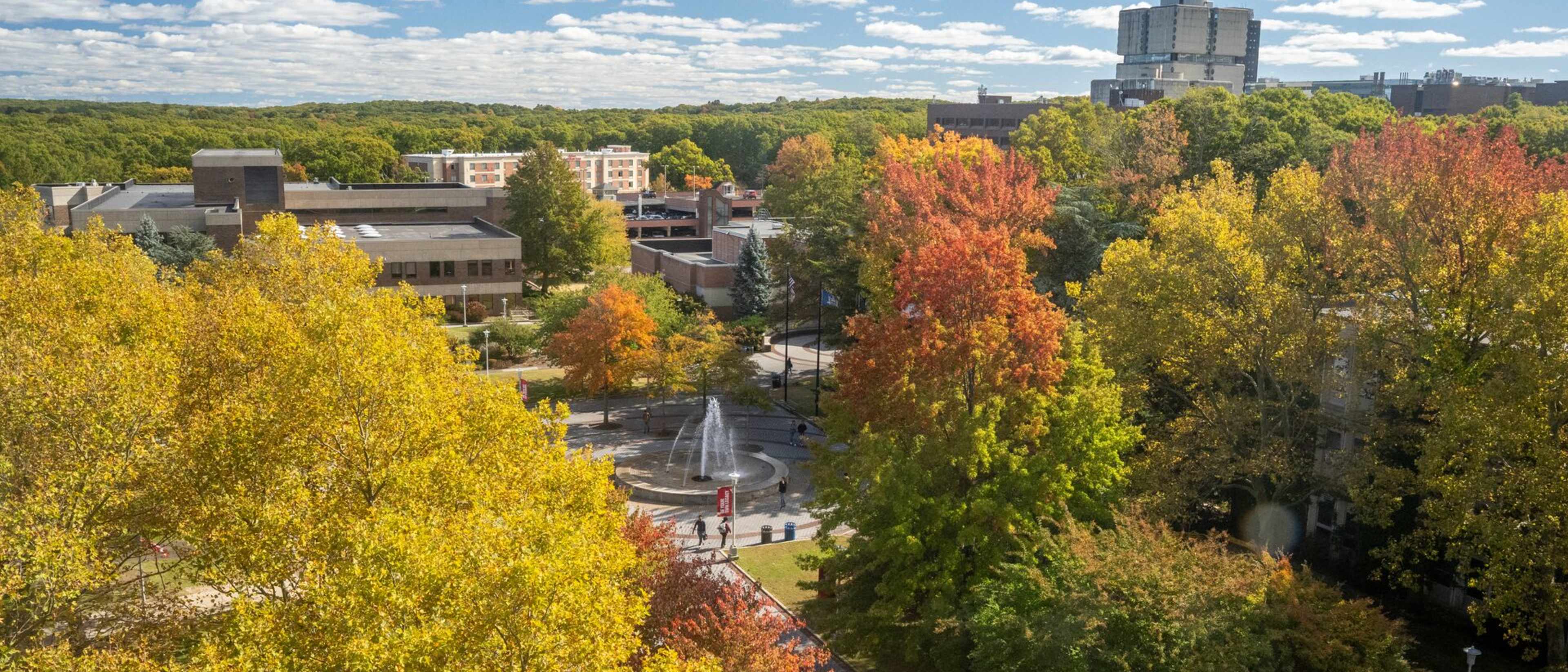 Stony Brook University College of Business