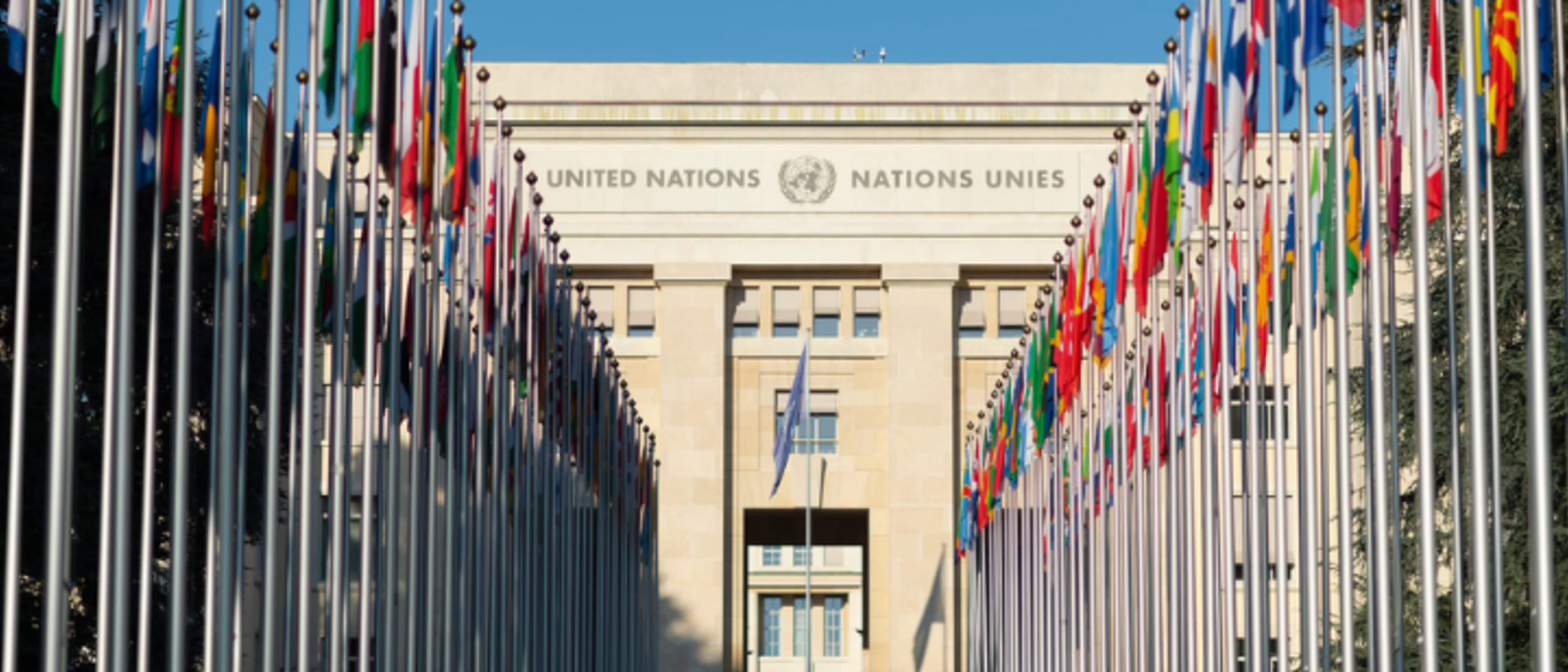 The United Nations Institute for Training and Research (UNITAR)