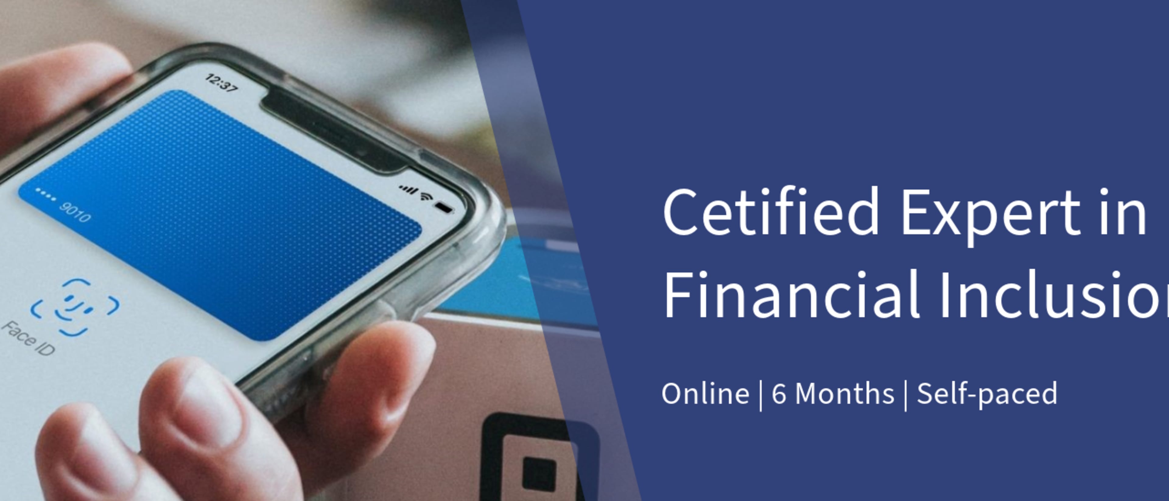 Frankfurt School of Finance & Management - Sustainable World Academy