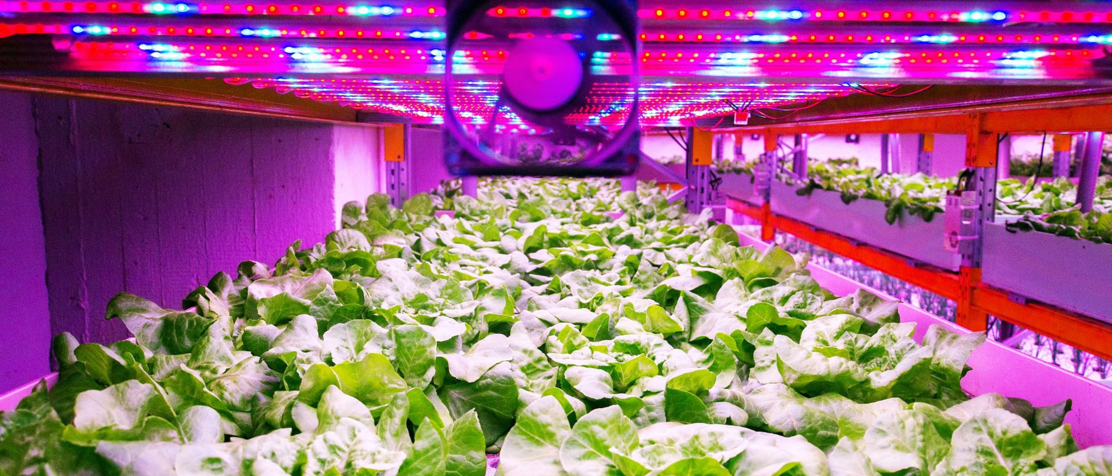 Swedish University of Agricultural Sciences