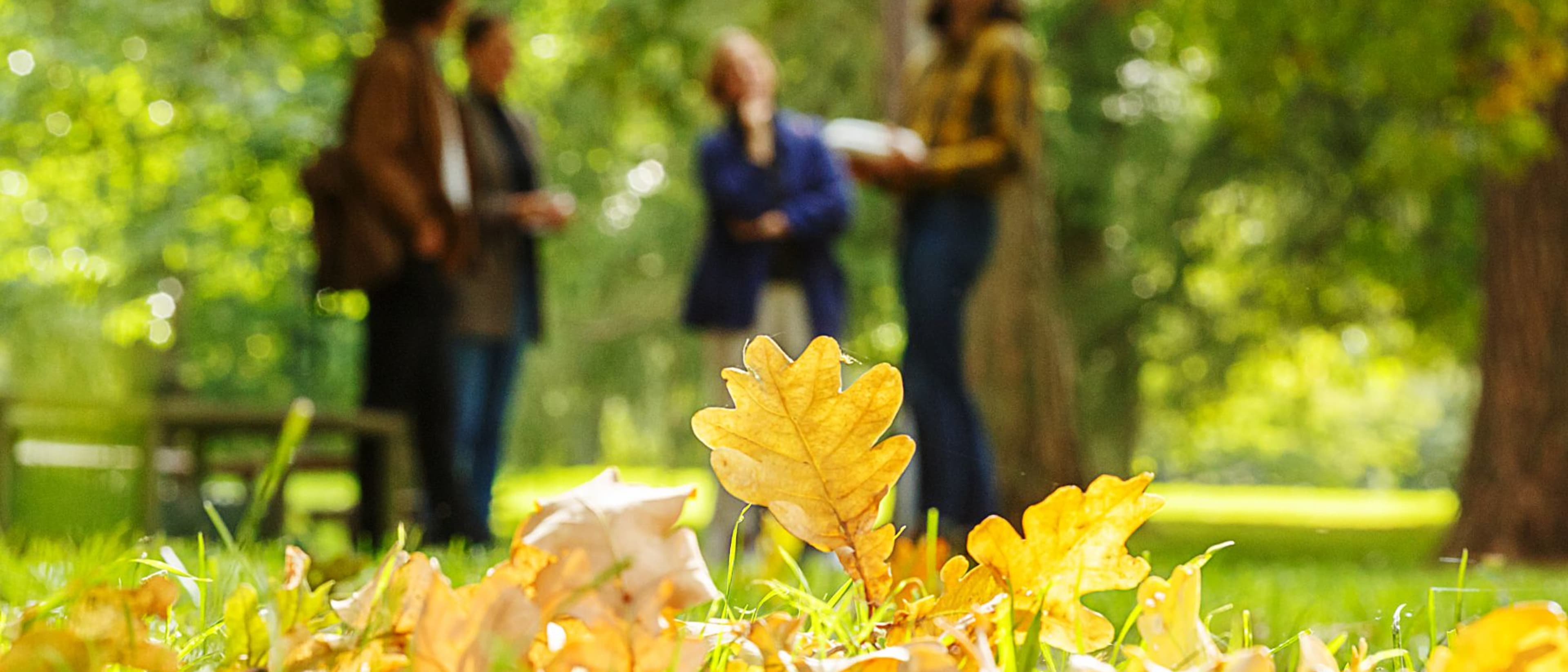 Swedish University of Agricultural Sciences