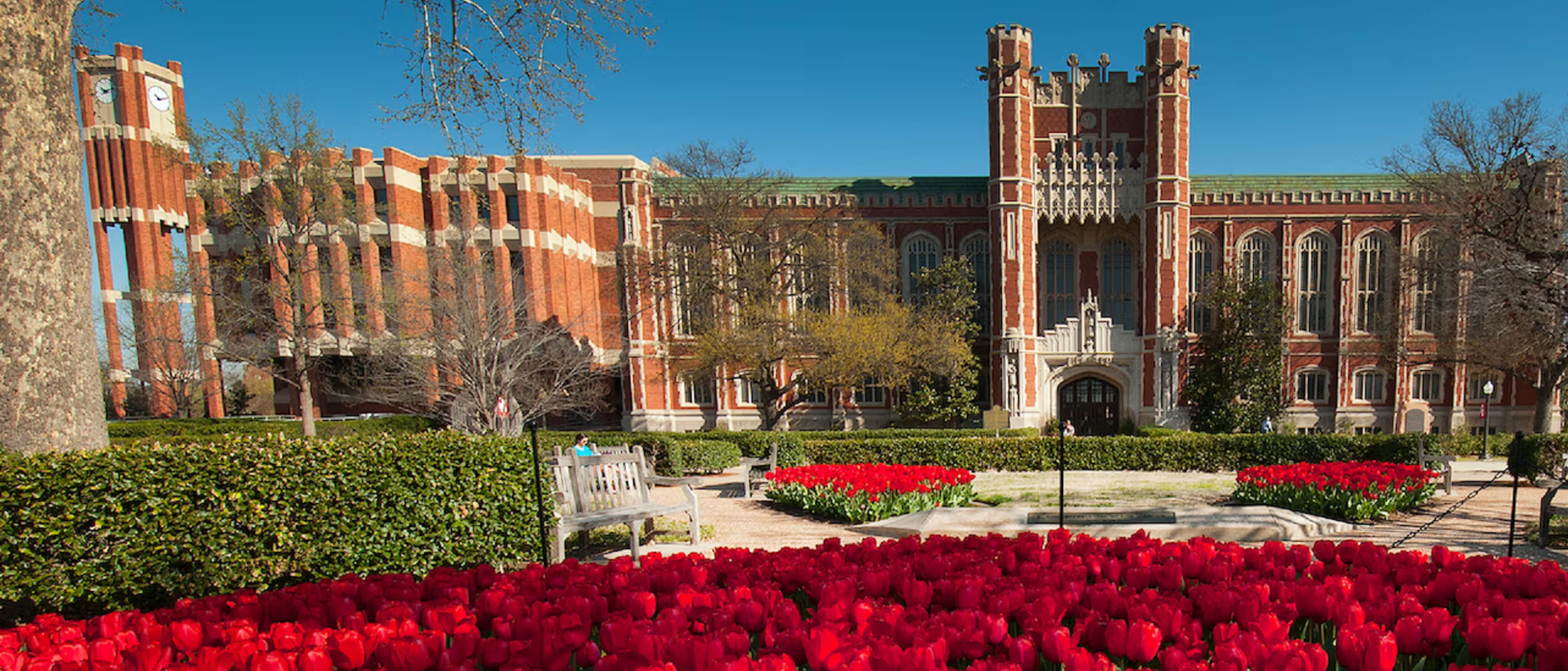 University of Oklahoma Online