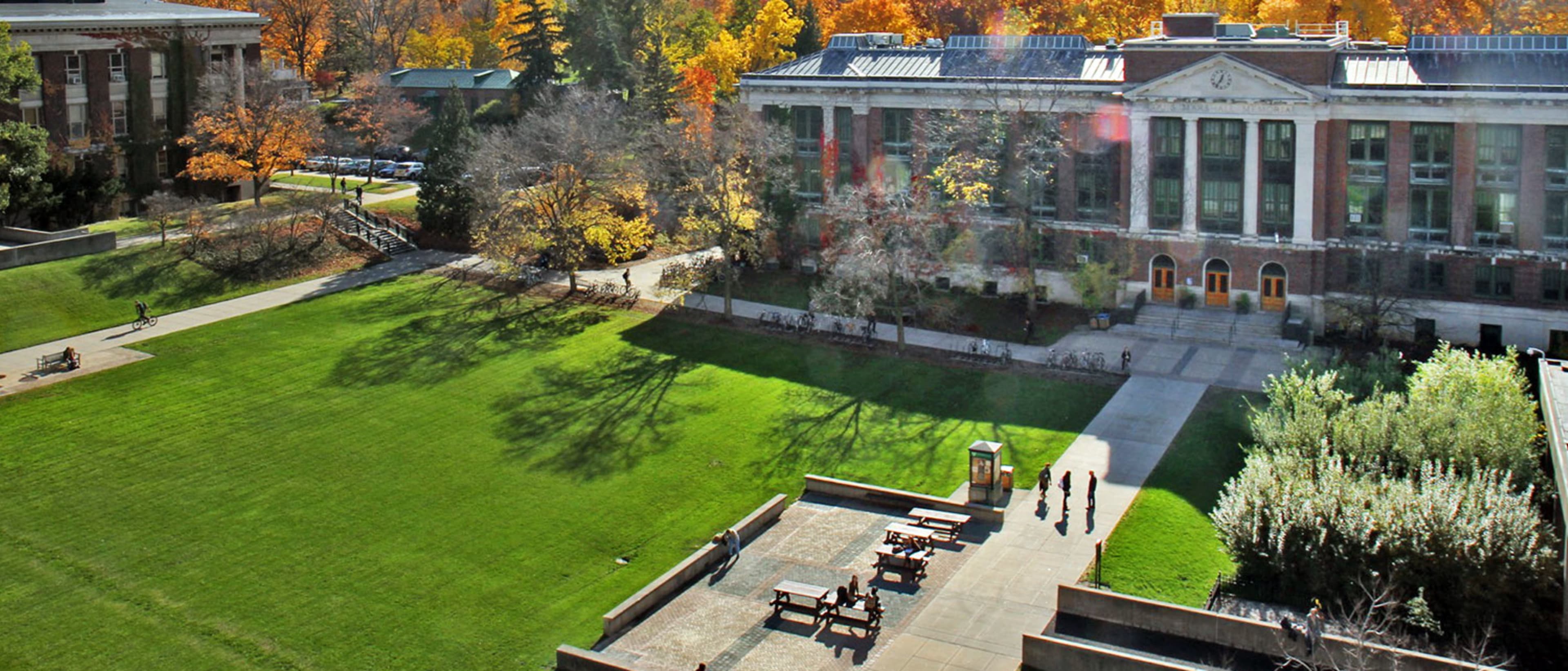 State University of New York College of Environmental Science and Forestry