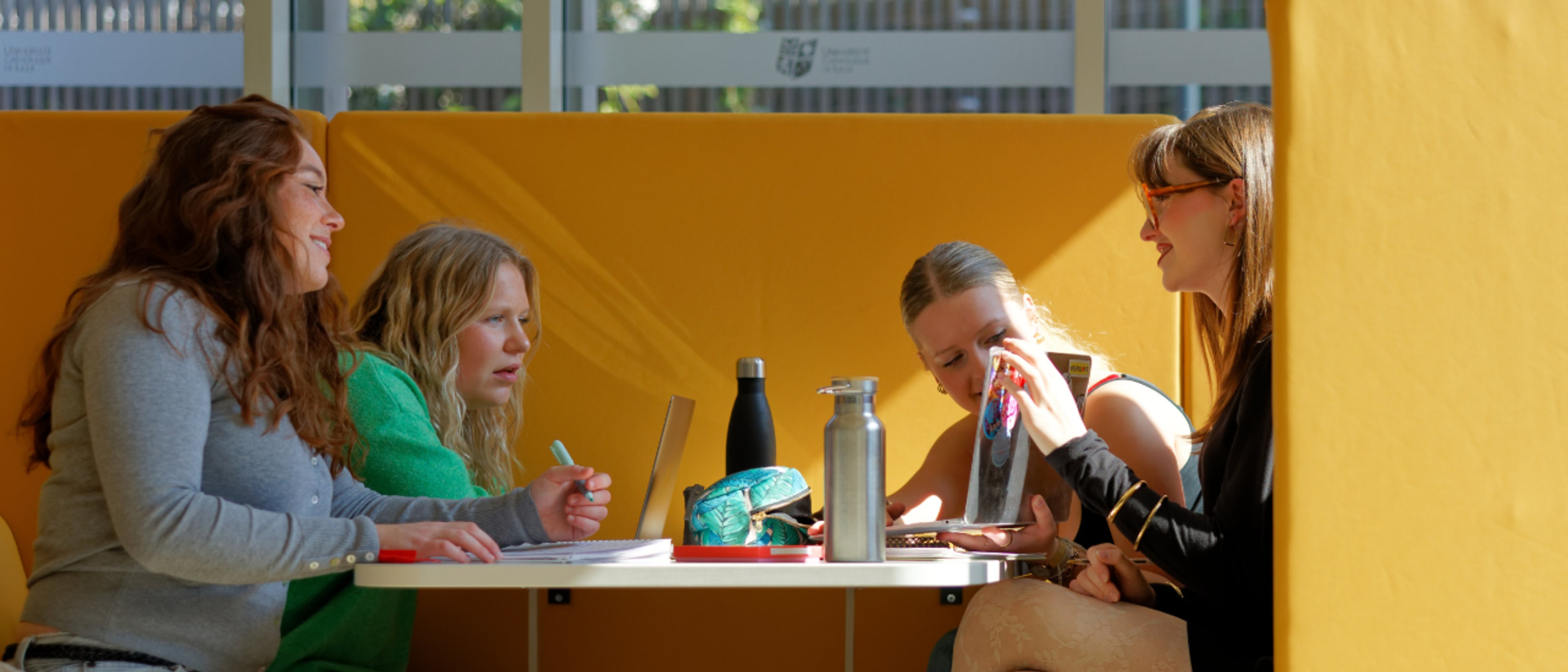 European School of Political and Social Sciences