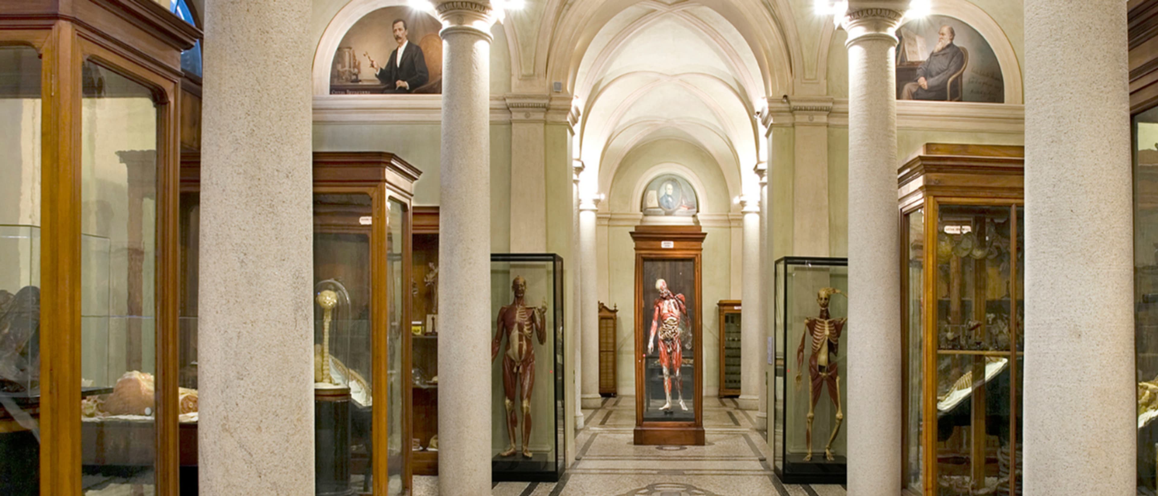 University of Torino