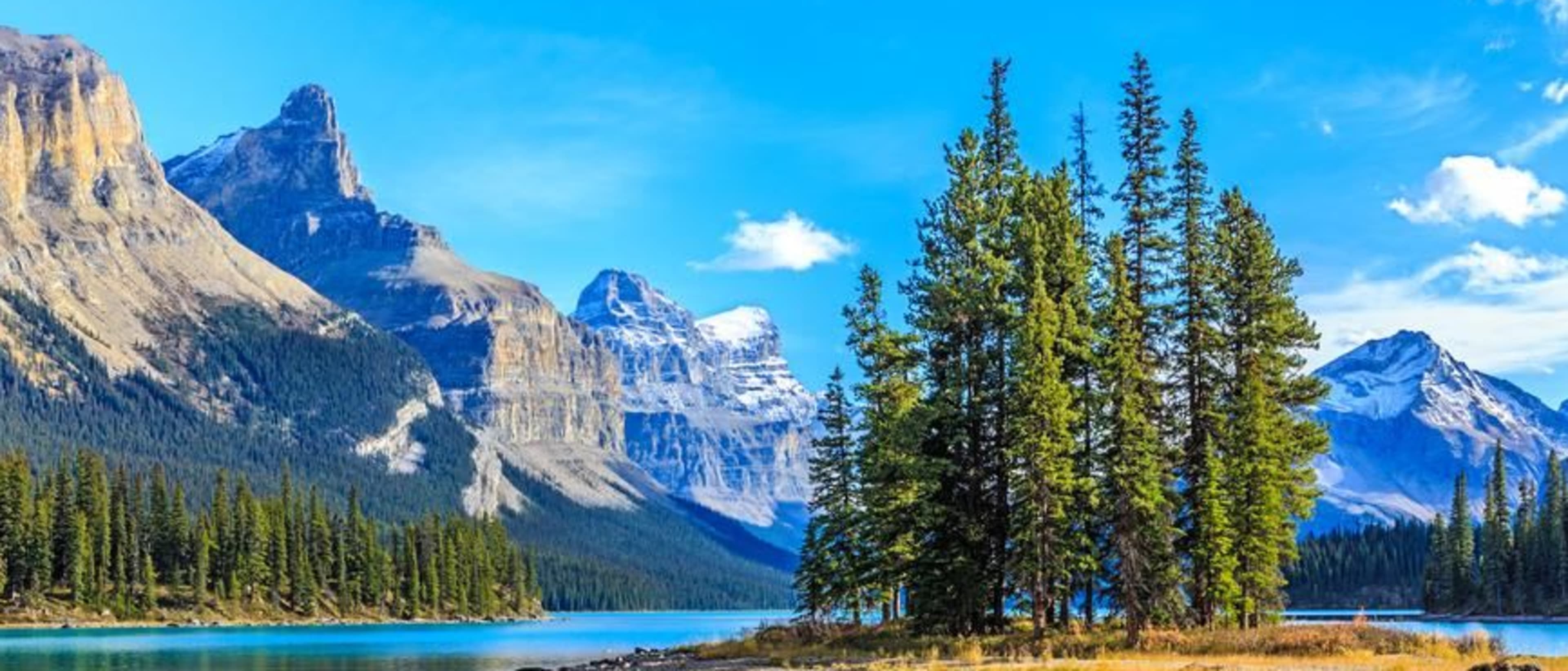 Pacific Link College