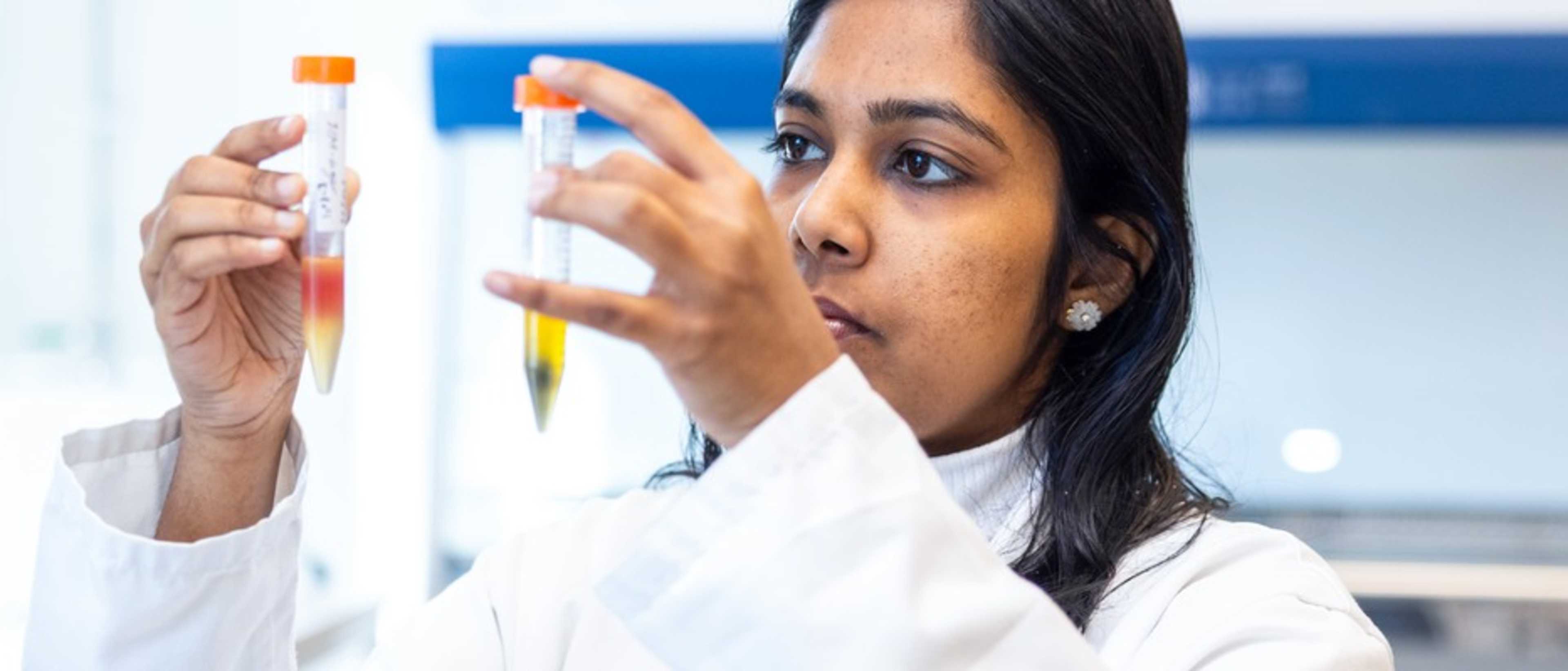 University of Skövde