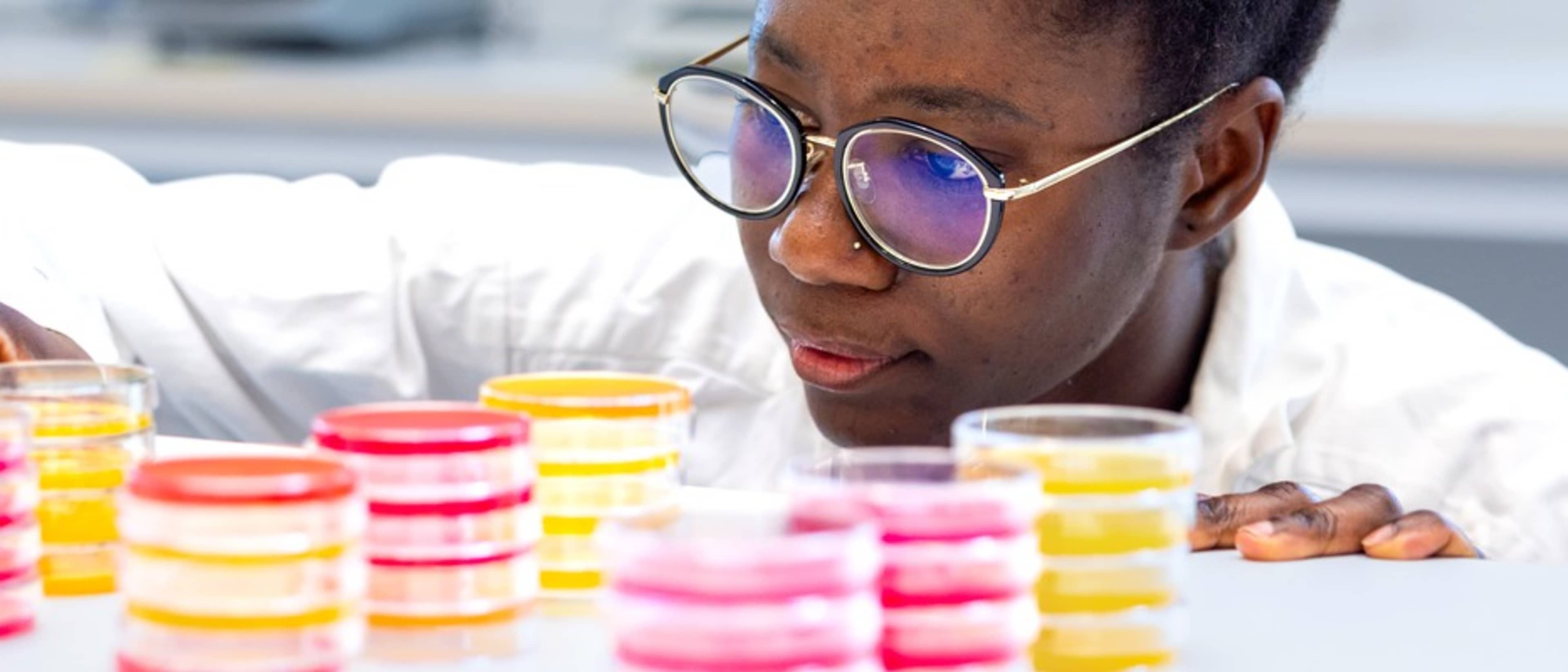 University of Skövde