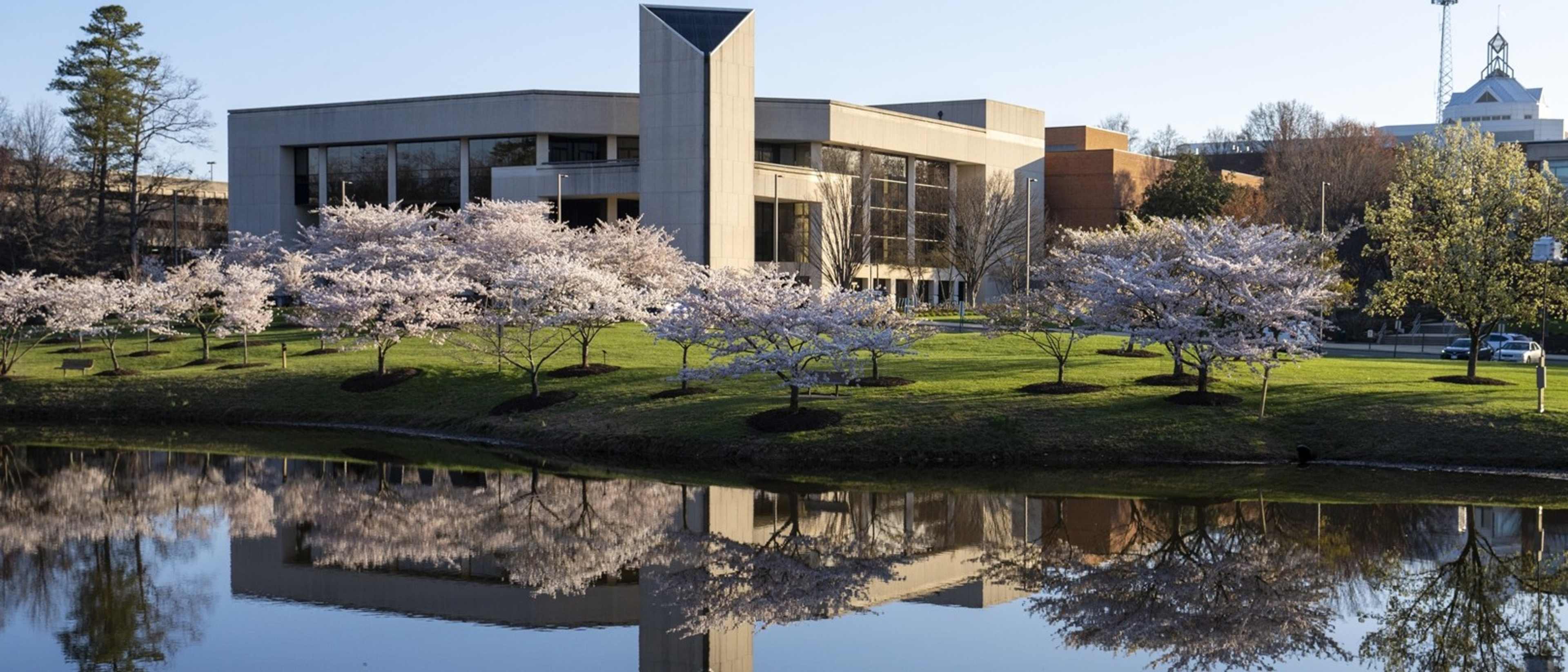 Paul Fonstad, Ph.D. | Franklin College, image size:3840x1645