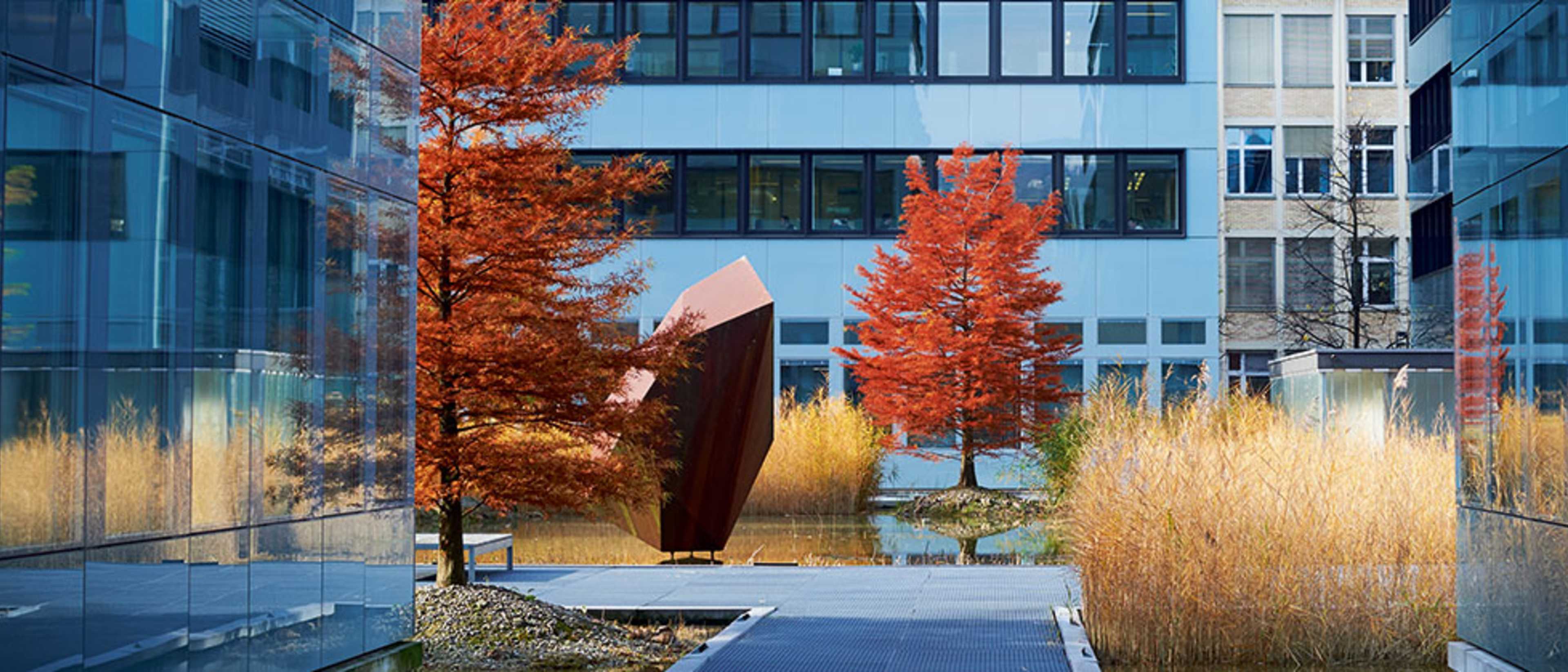 Lucerne School of Business – Finance and Real Estate Programs