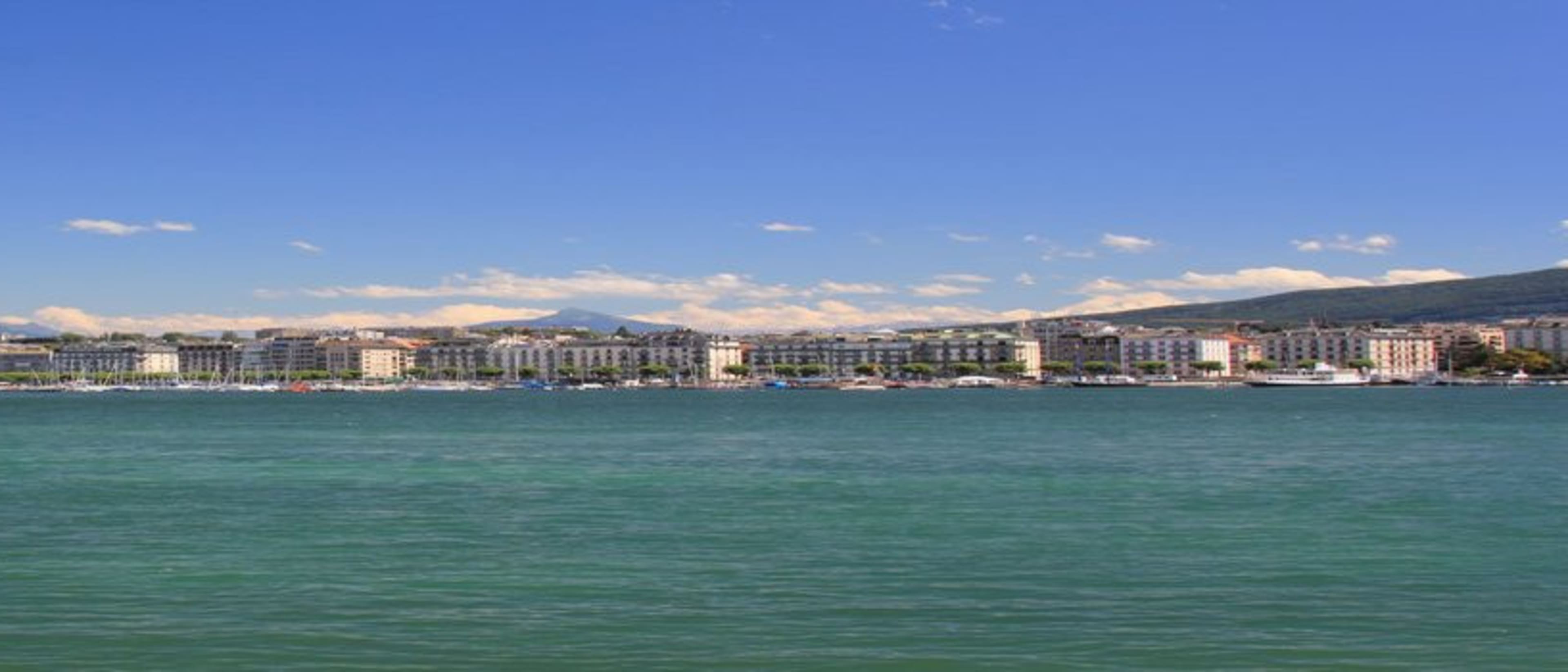 International Institute in Geneva - Undergraduate