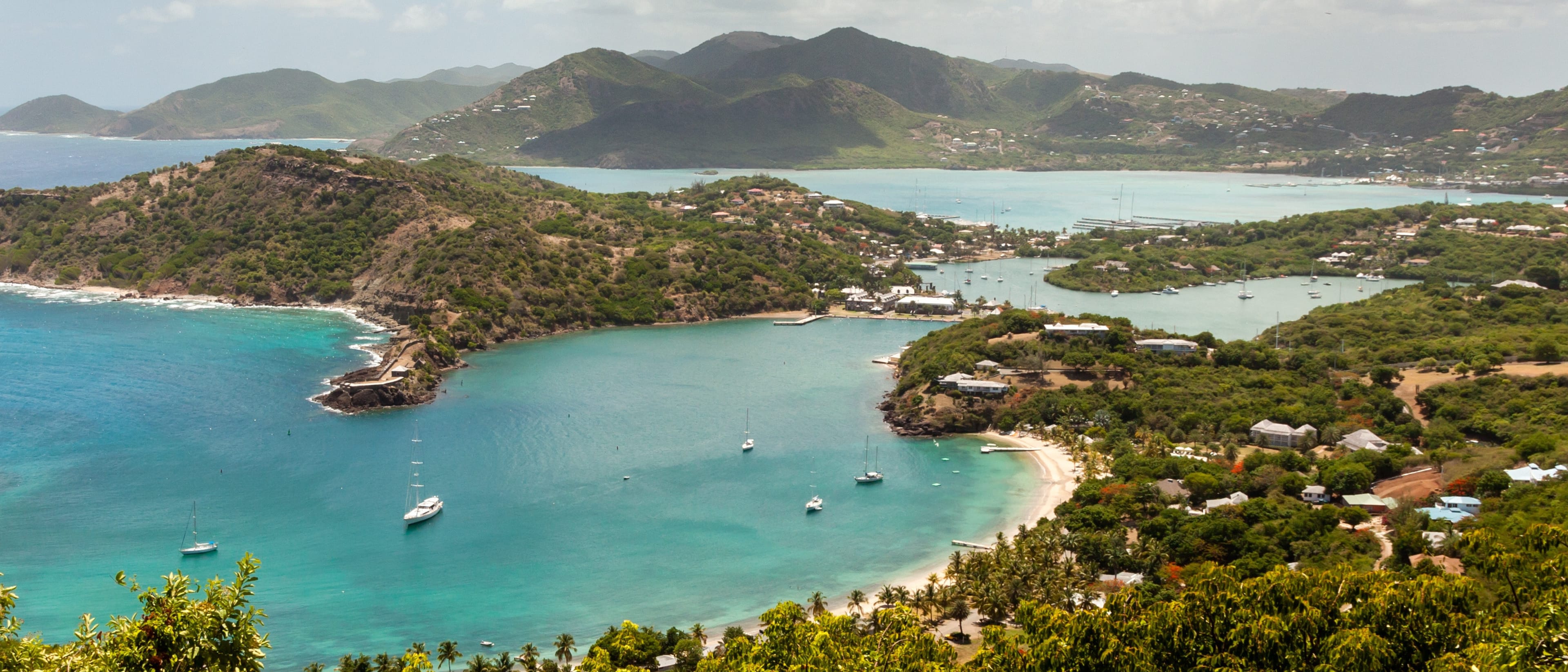 American University of Antigua