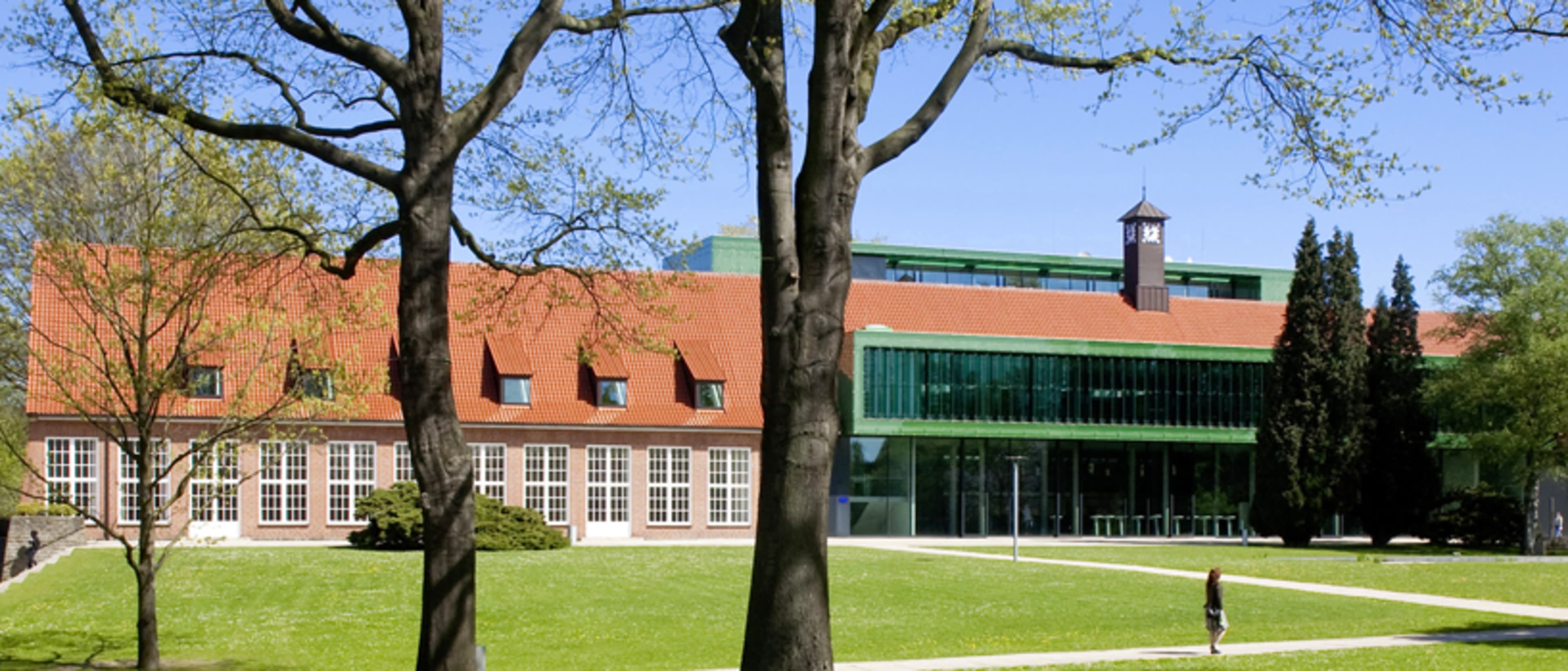 Constructor University