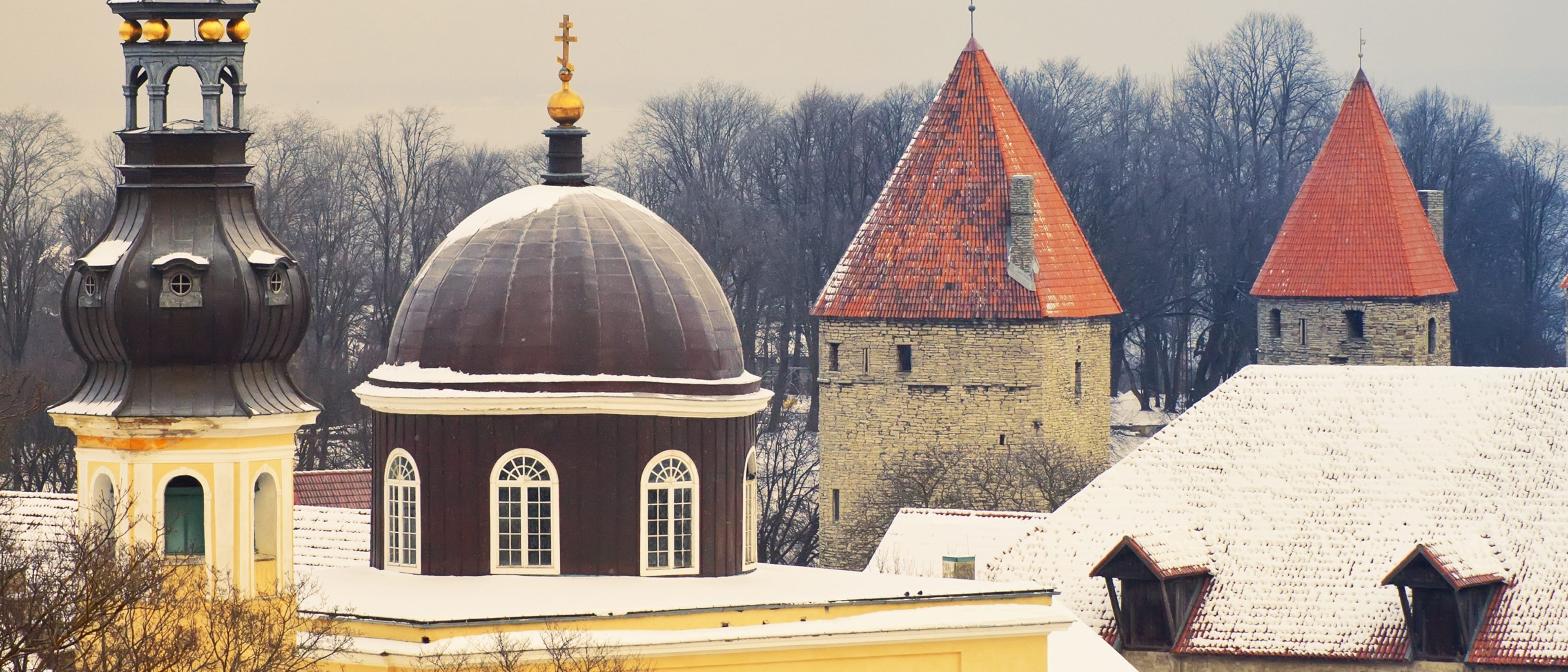 Tallinn University