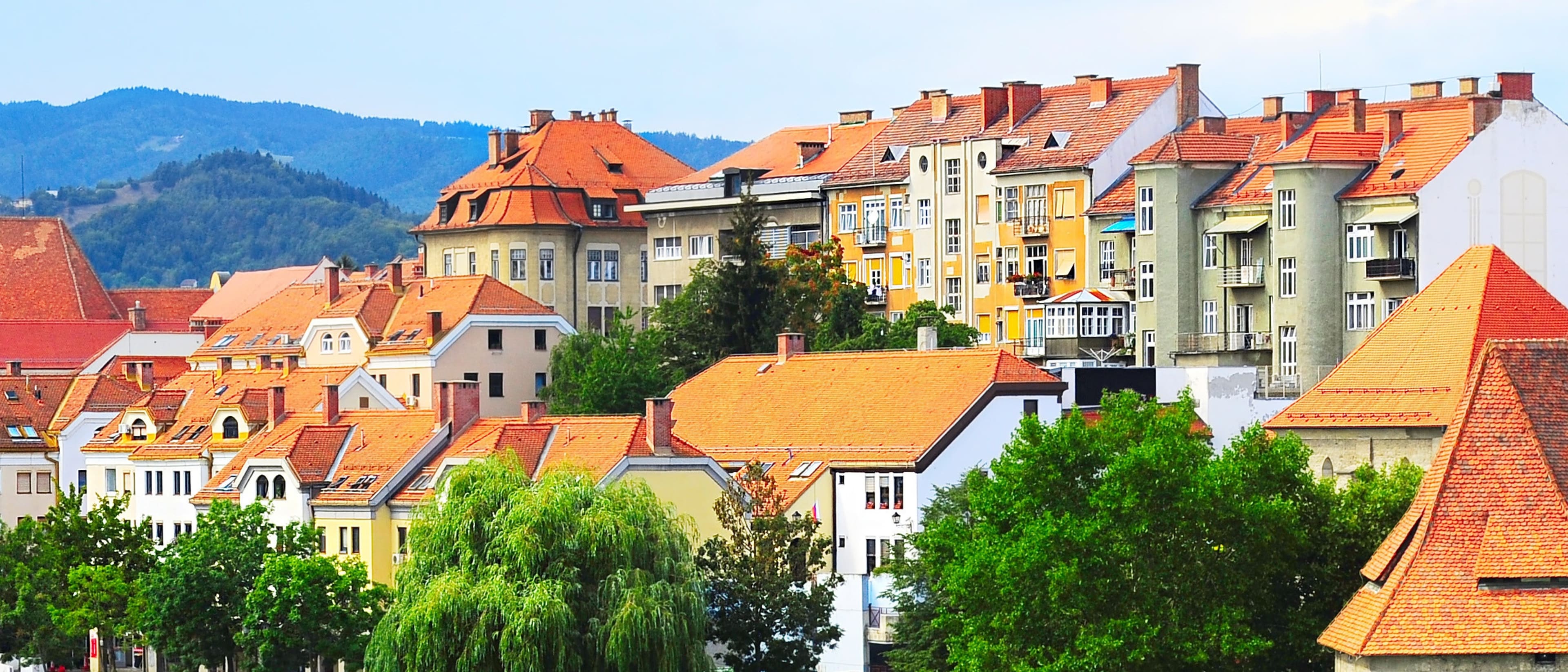 International School for Social and Business studies
