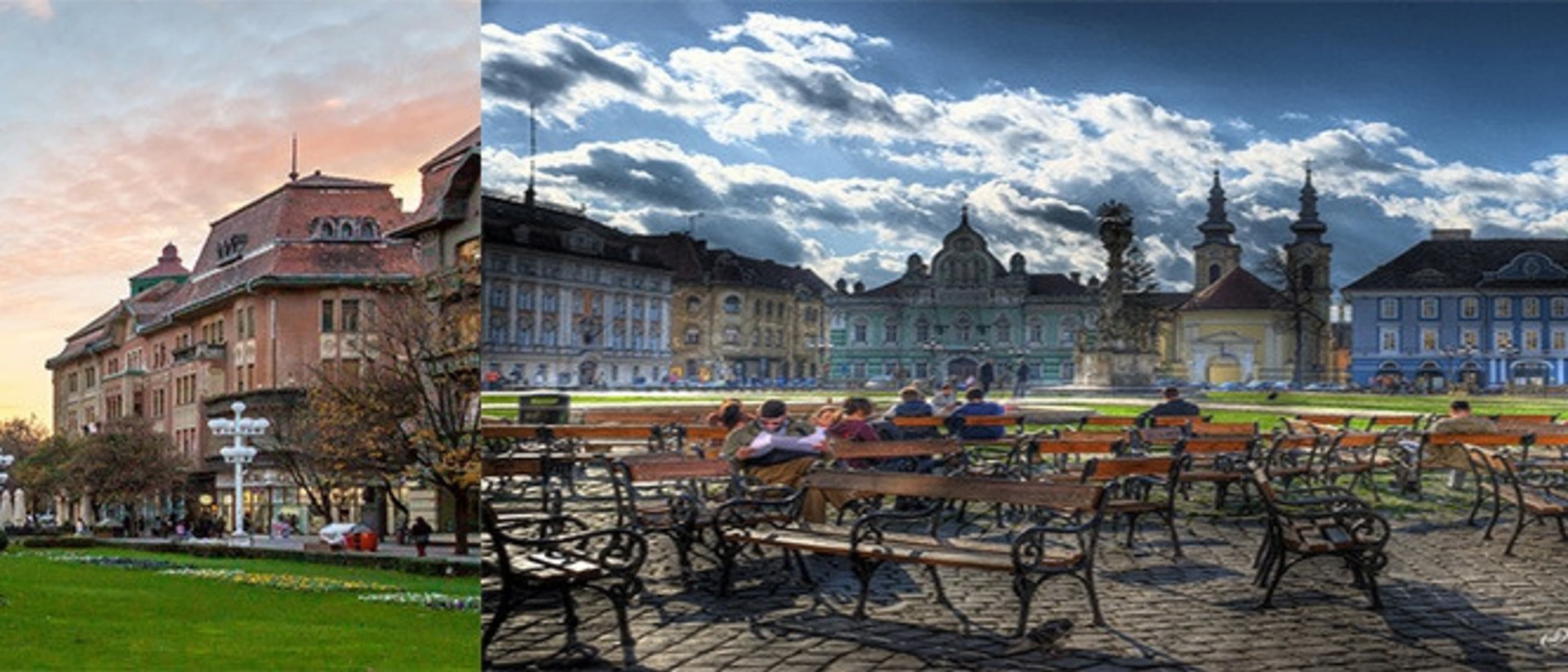 Faculty of Agriculture - Banat University Of Agricultural Sciences And Veterinary Medicine Timisoara