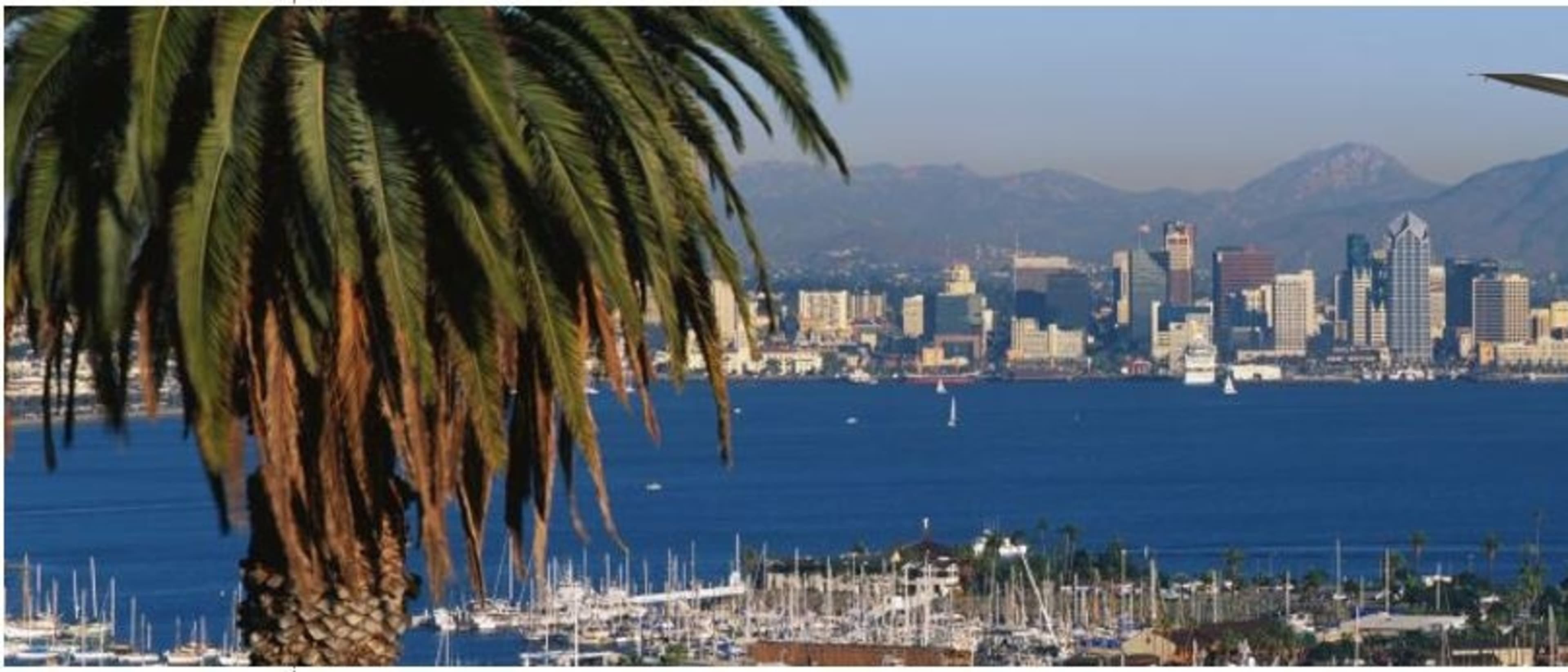 San Diego Flight Training International