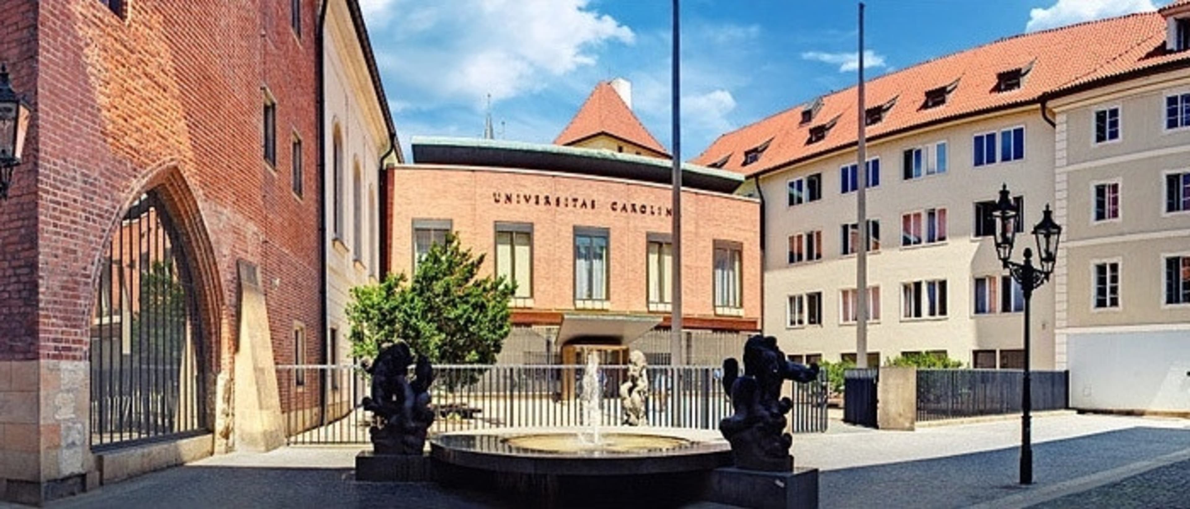 Charles University Faculty of Education