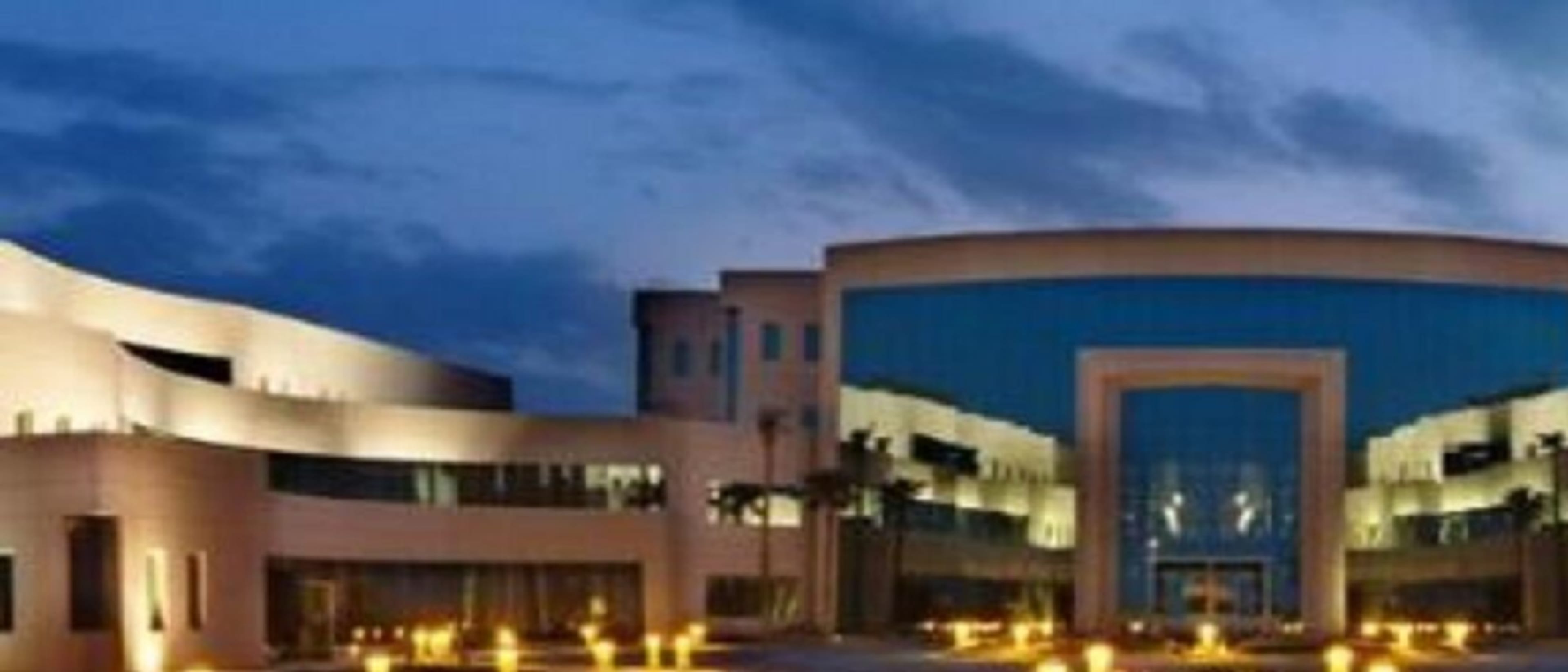 Al Yamamah University