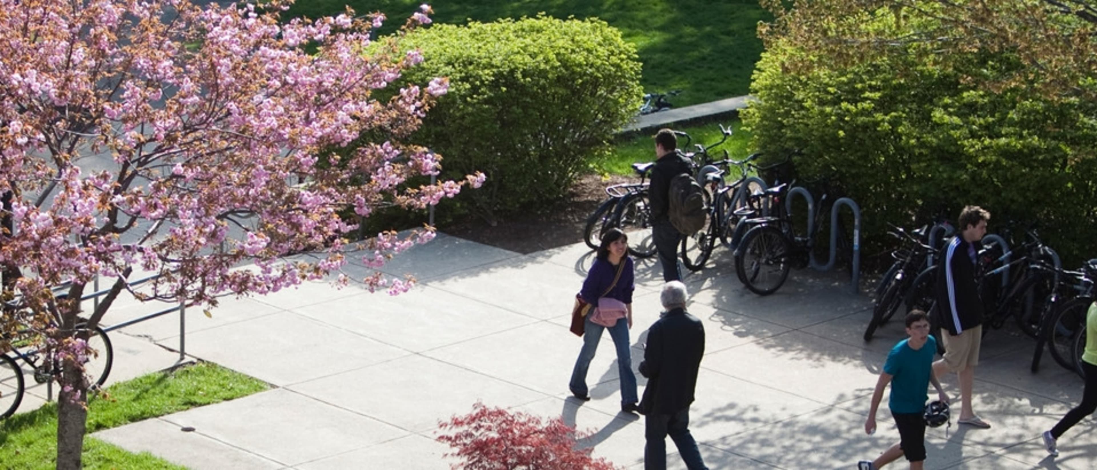 International Programs at Tufts University