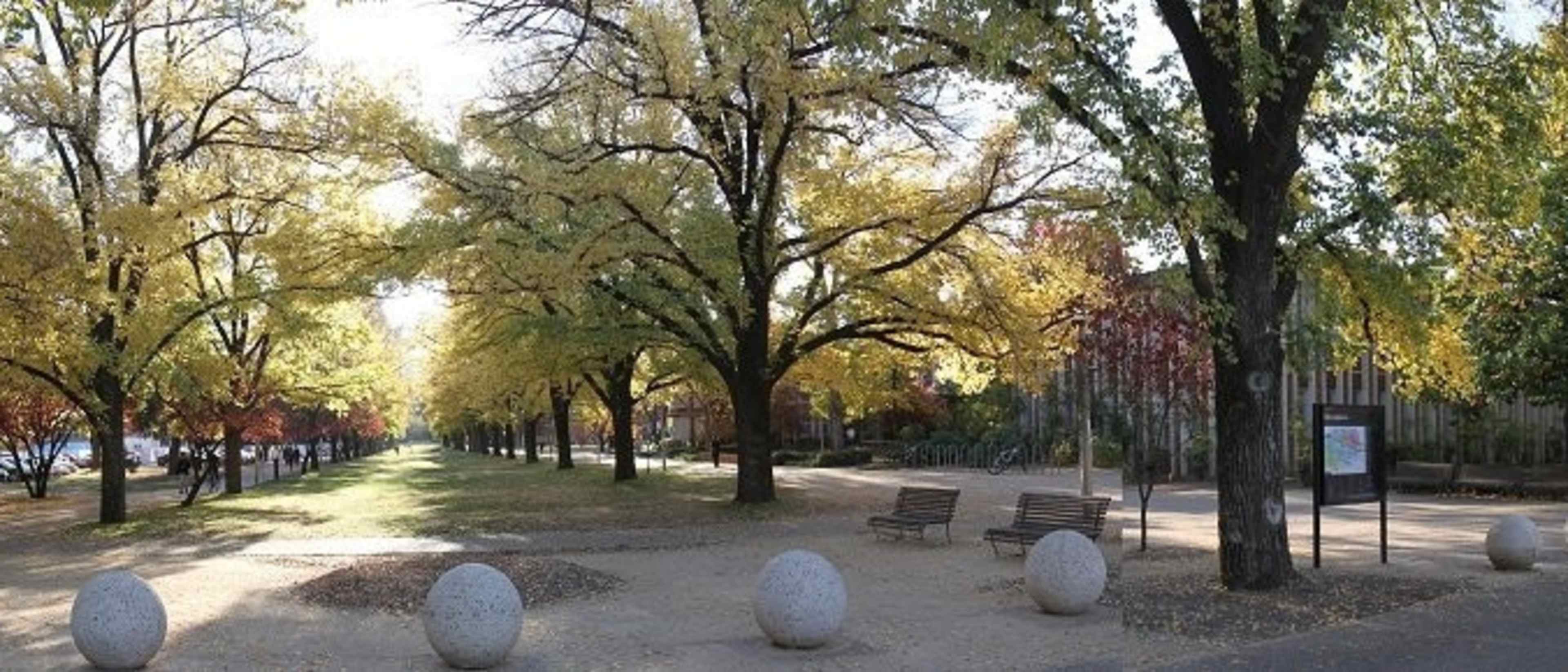 Australian National University